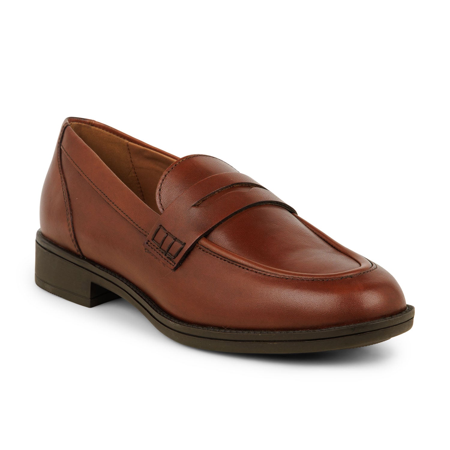 Mocassins Femme GEOX D JAYLON Marron