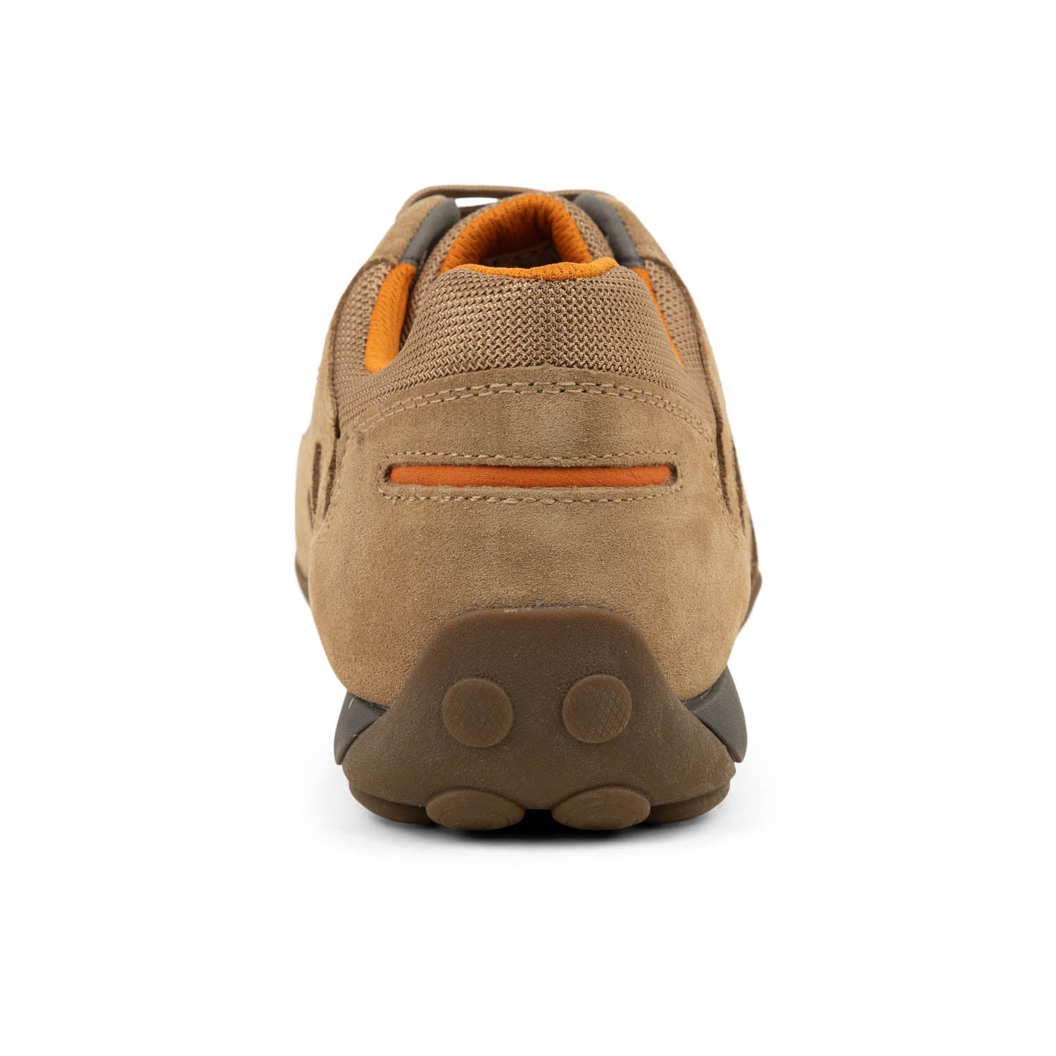 Baskets Homme GEOX SNAKE 2.0 Beige