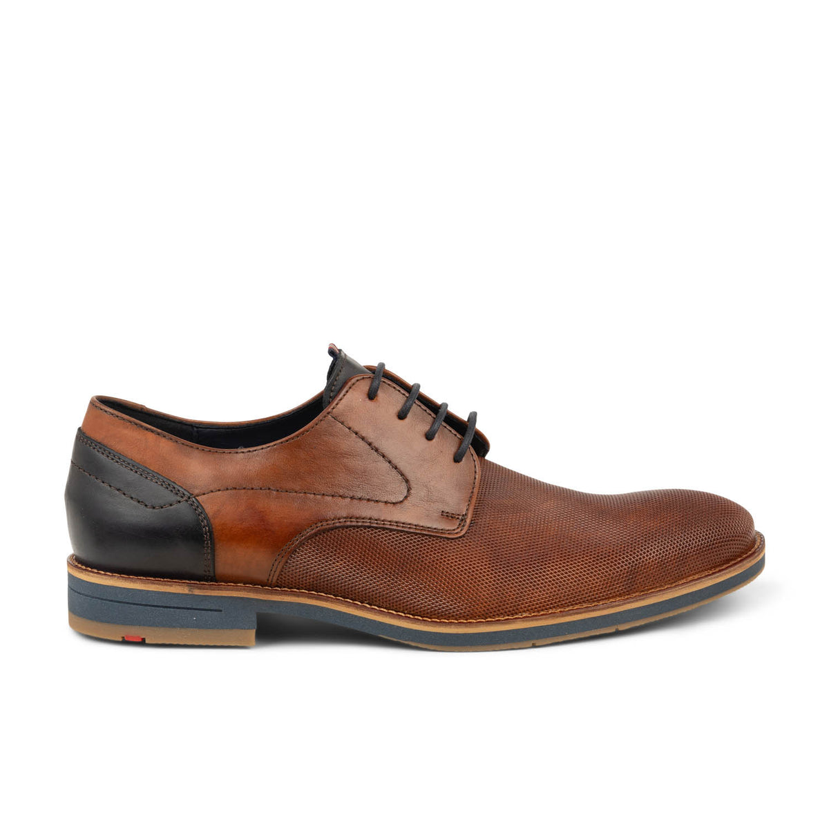 Derbies et Richelieus Homme LLOYD HARRIS Marron