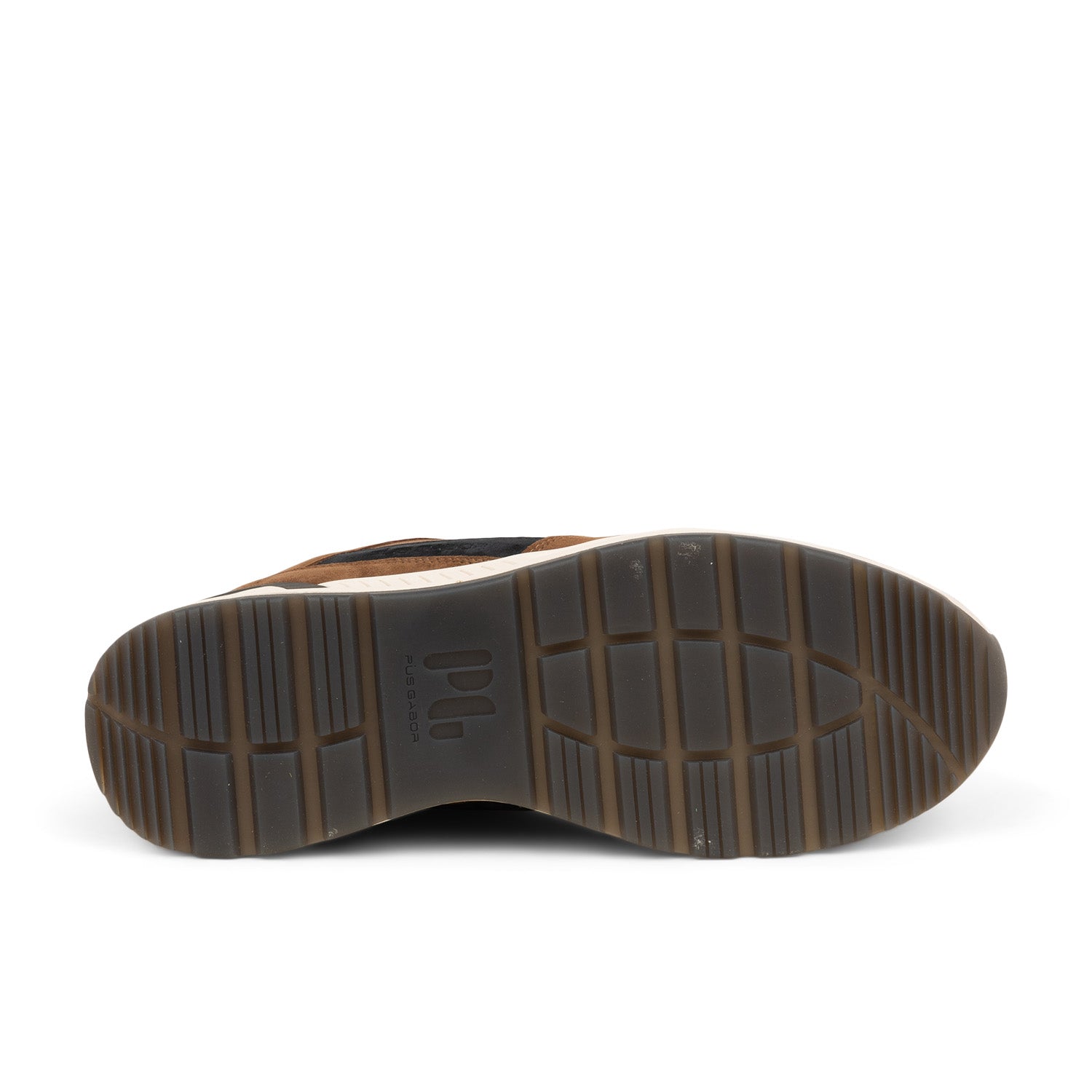 Baskets Homme PIUS GABOR PIUNING Marron