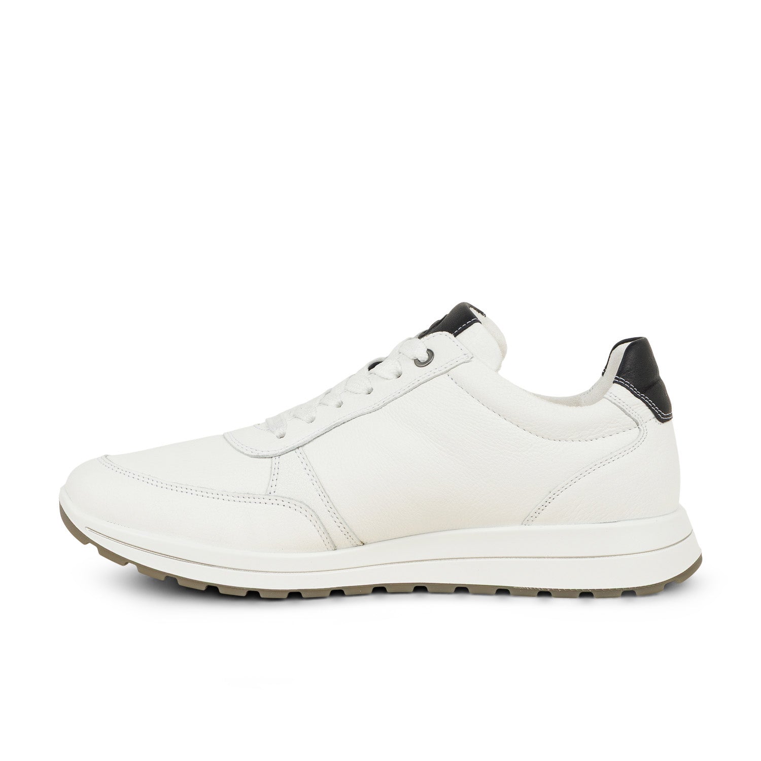 Baskets Homme ARA ARABICA MATTEO
Blanc