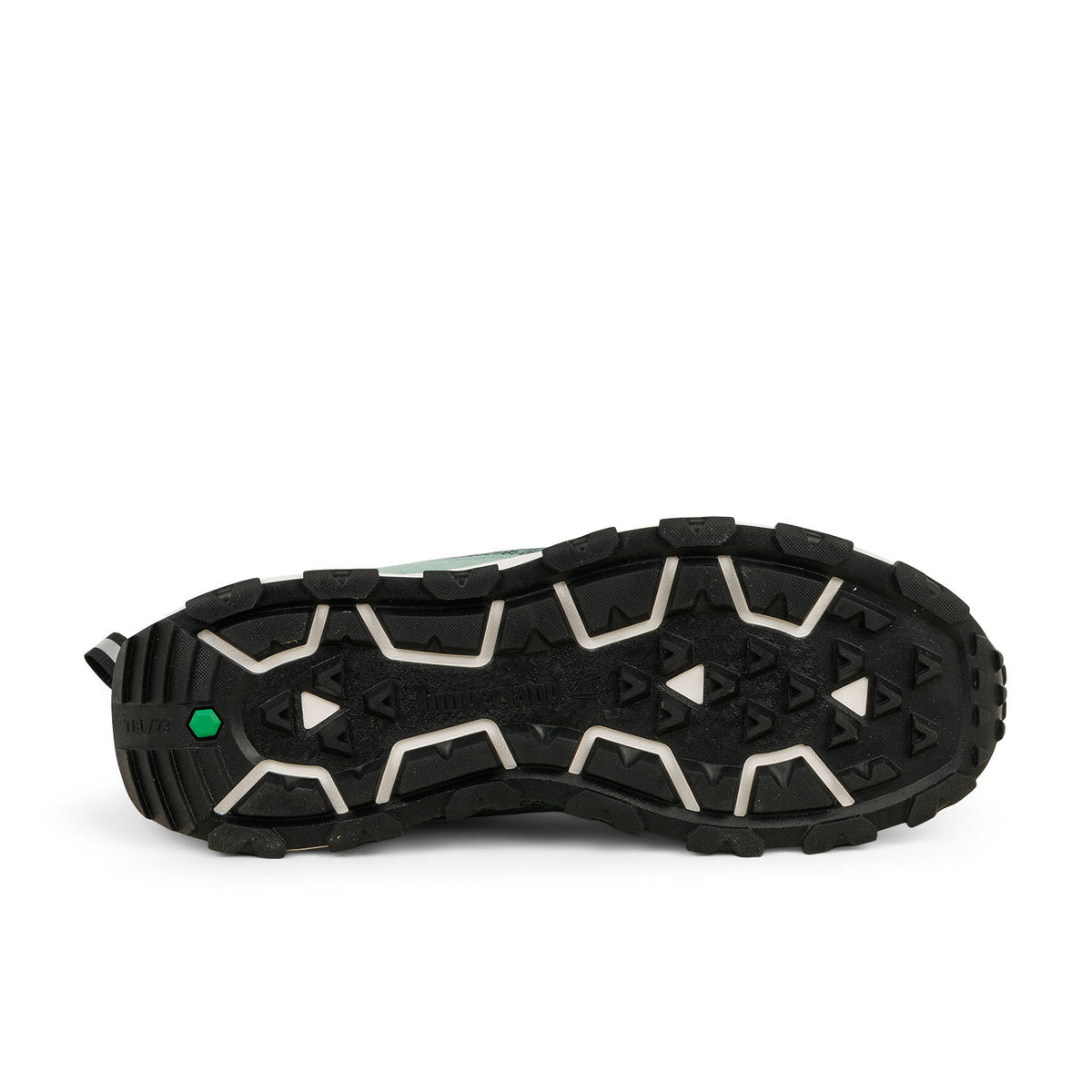 Baskets Homme TIMBERLAND WINSOR Vert