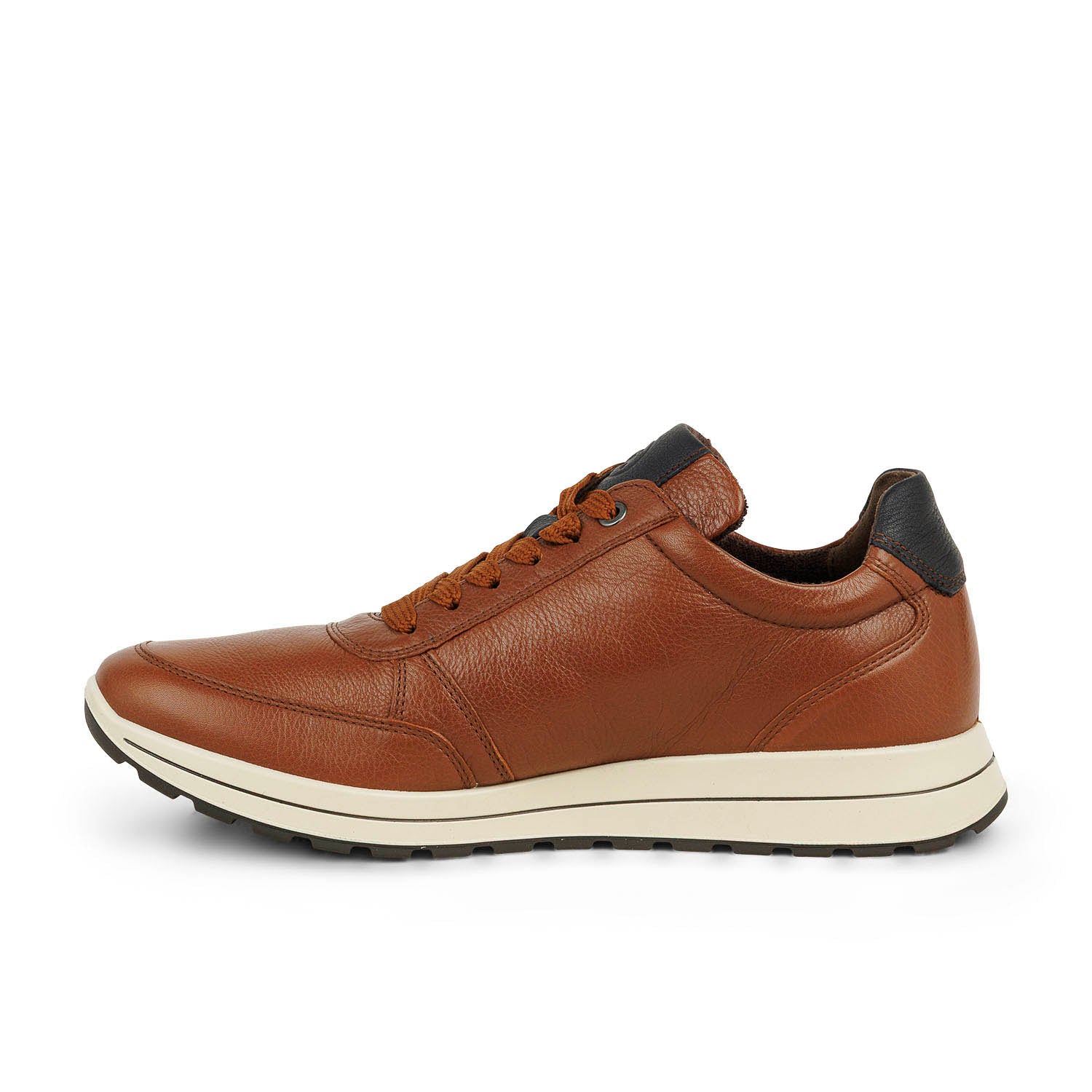 Baskets Homme ARA ARANICE-11-24501
Marron