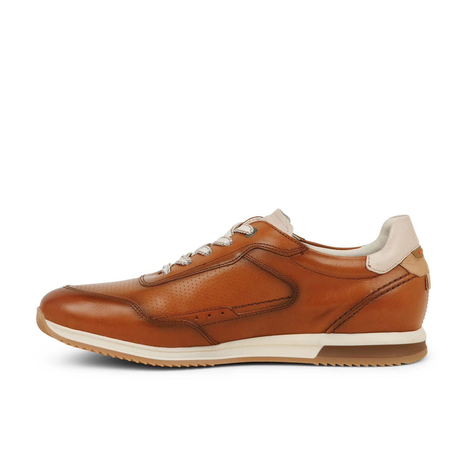 Baskets Homme FLUCHOS SAMIR F2186 Marron
