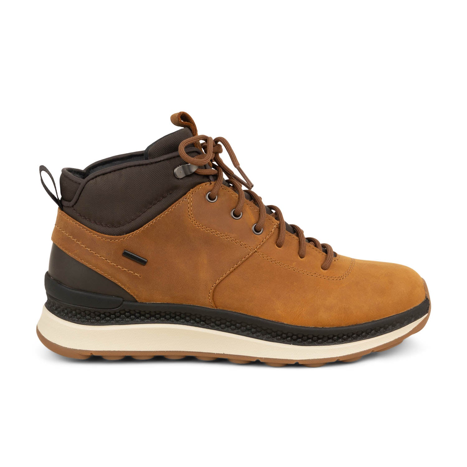 Baskets Homme GEOX U SPHERICA ACTIF Marron