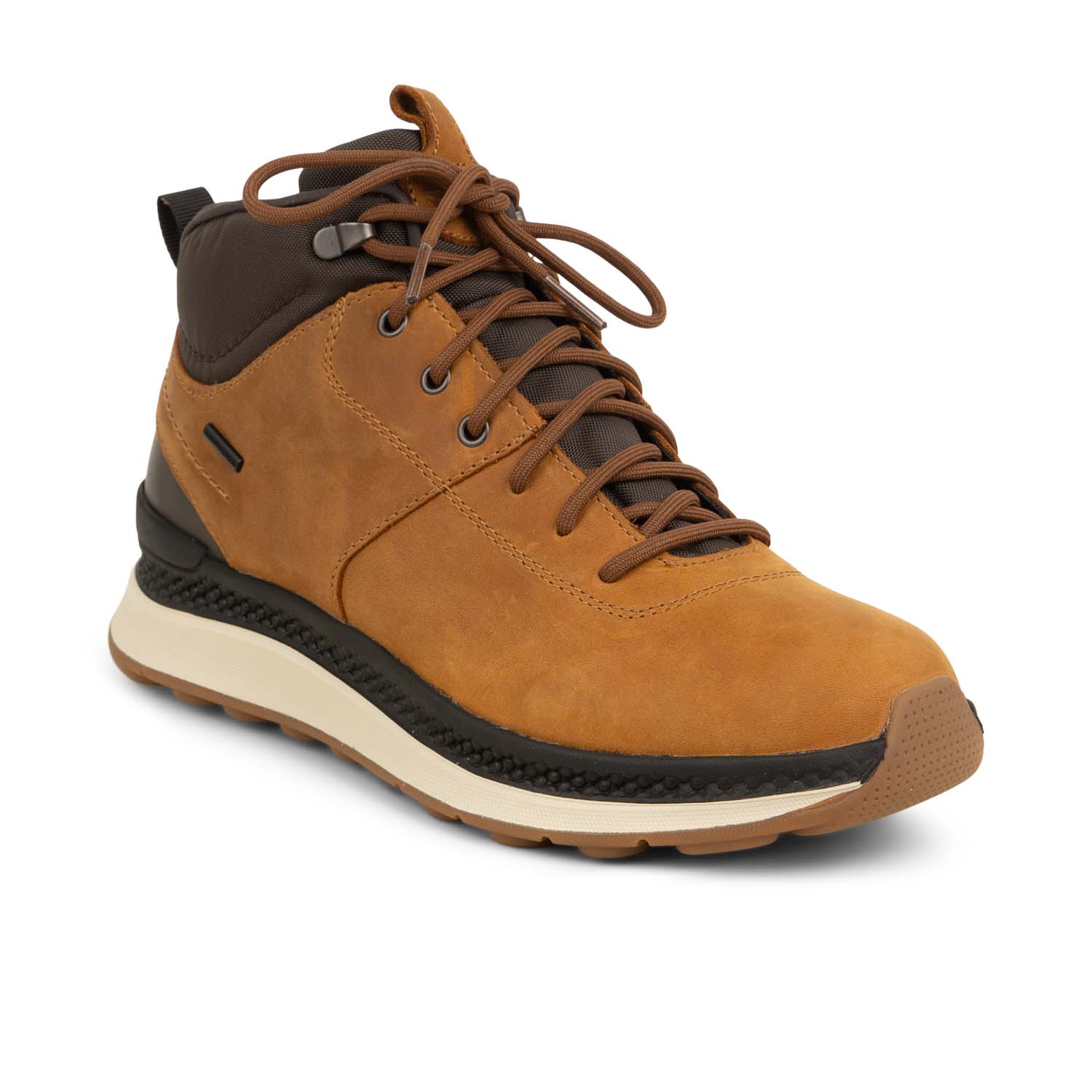 Baskets Homme GEOX U SPHERICA ACTIF Marron