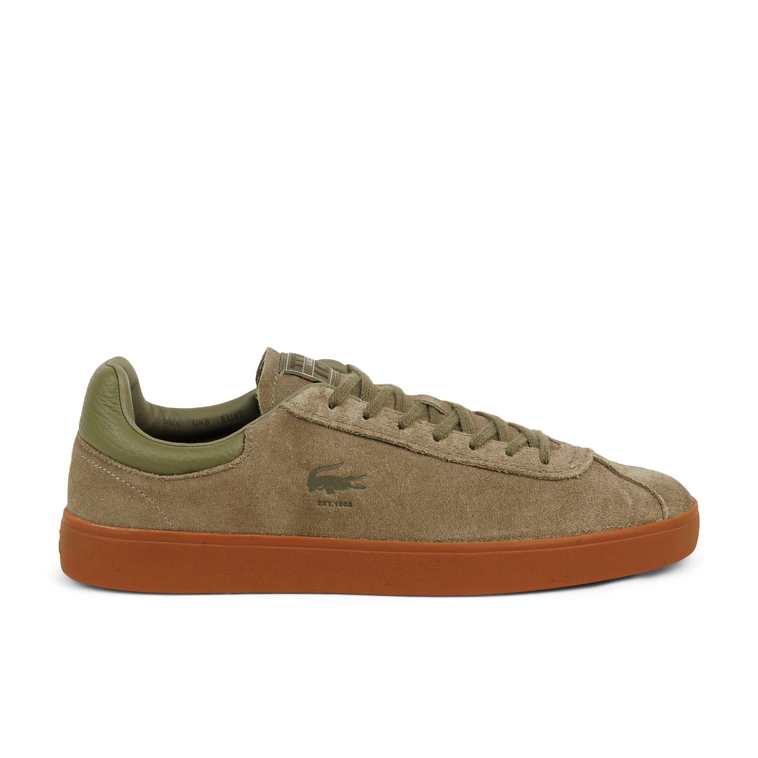 Sneakers Homme LACOSTE BASESHOT Vert