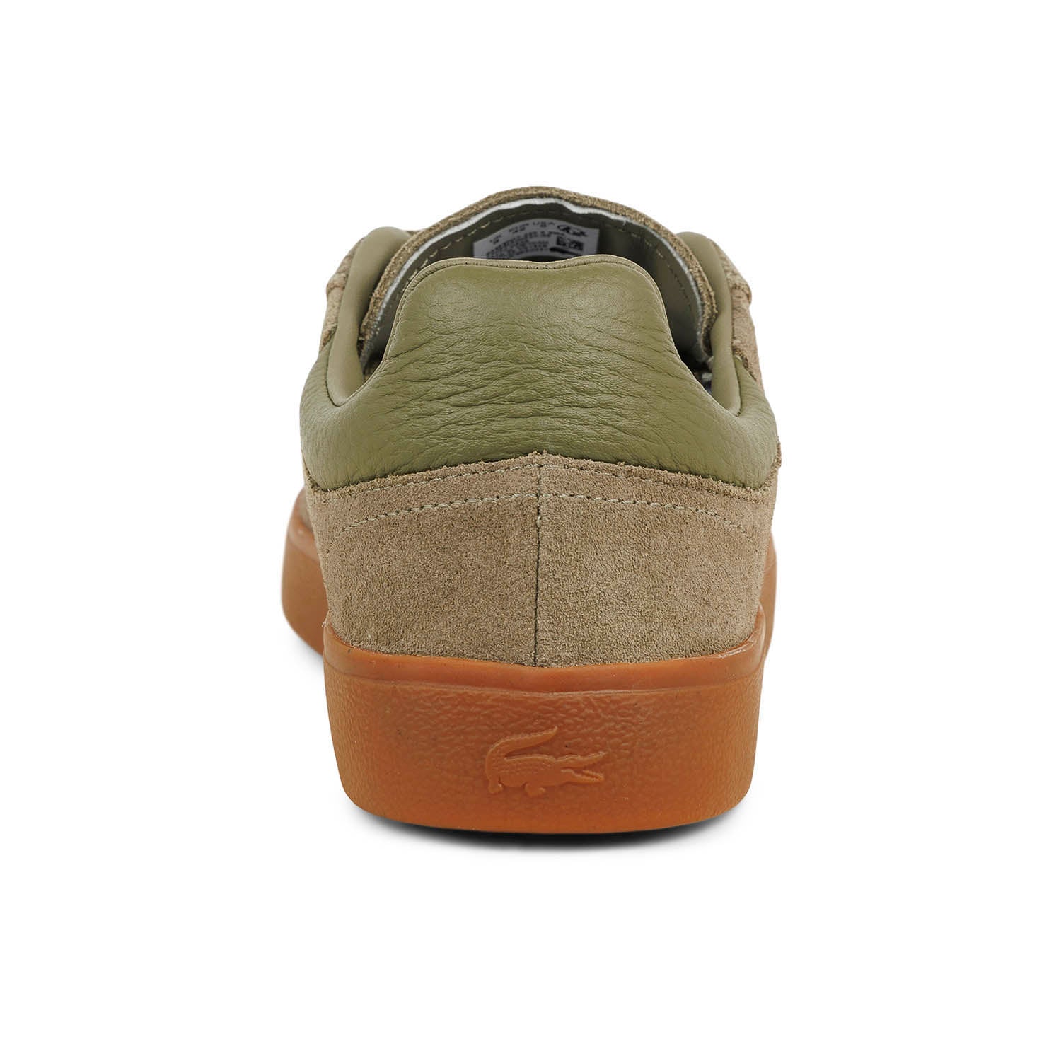 Sneakers Homme LACOSTE BASESHOT Vert