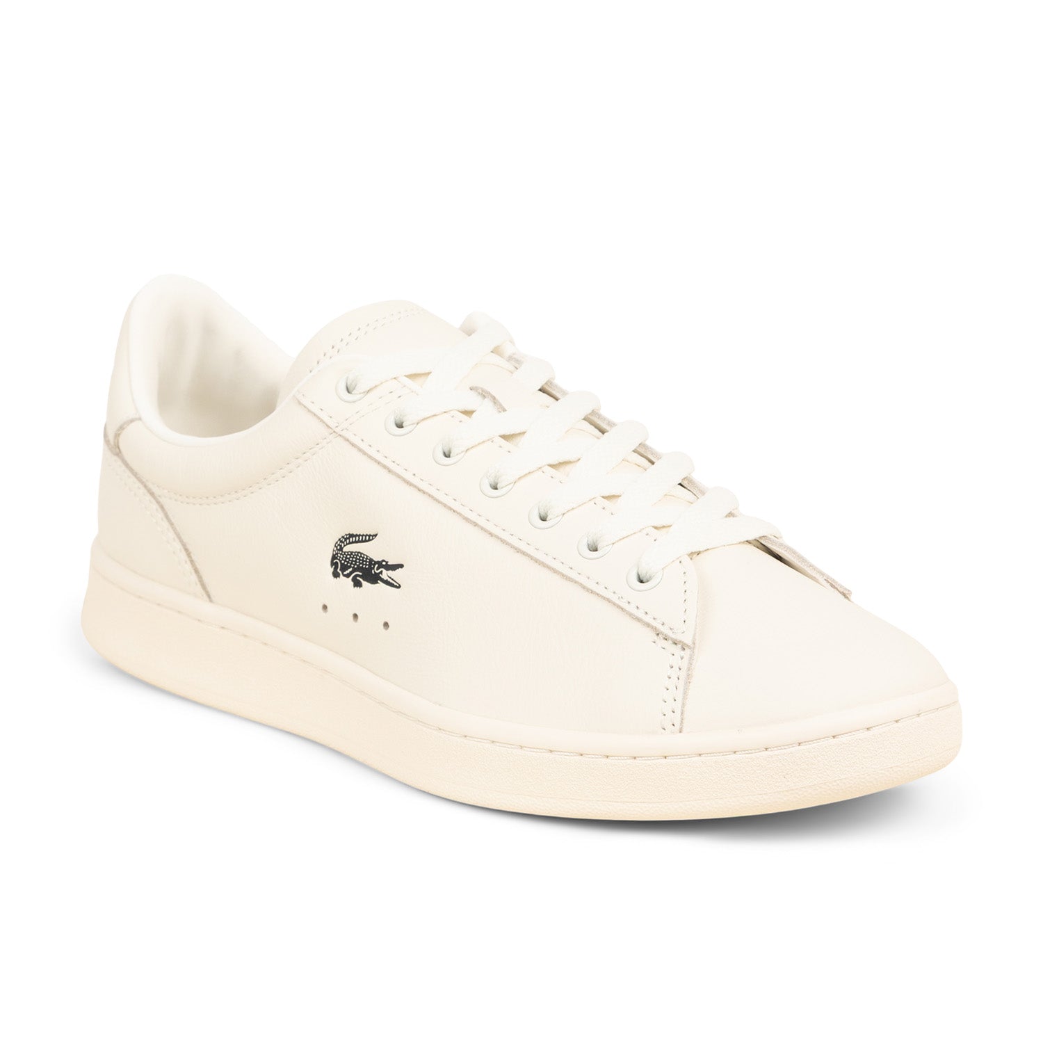 Sneakers Homme LACOSTE CARNABY Beige
