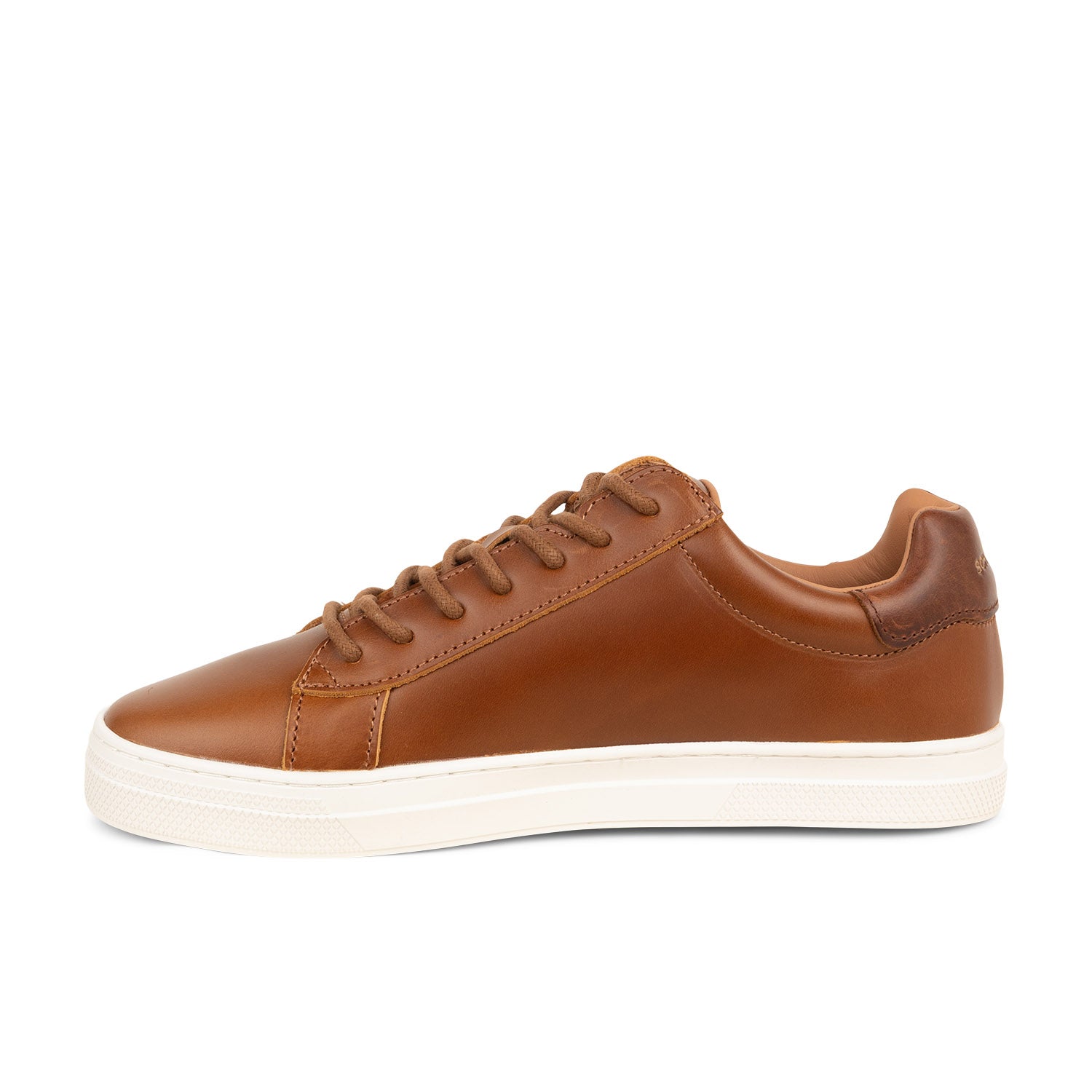Baskets Homme SCHMOOVE SPARKLE SNEAKER Marron