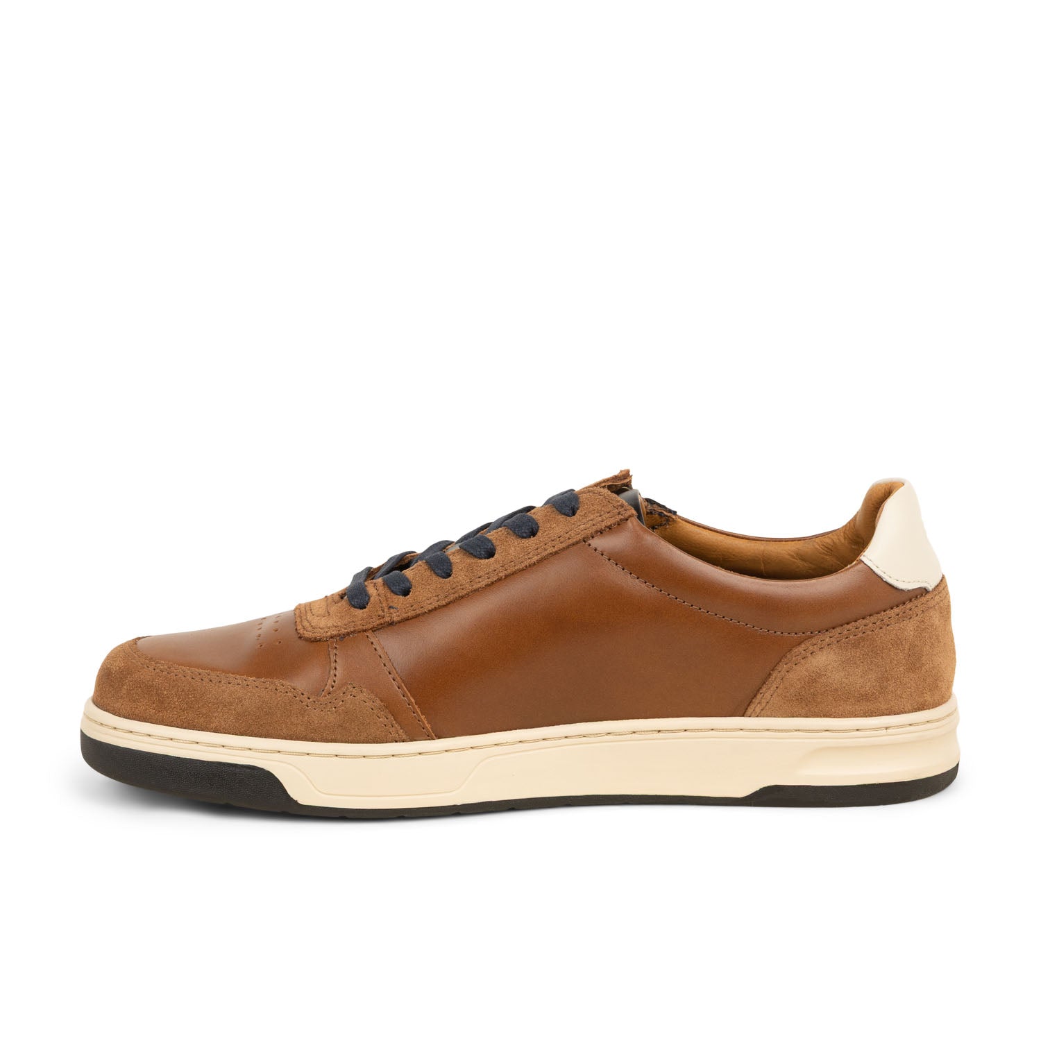 Baskets Homme TBS THEOZIP Marron