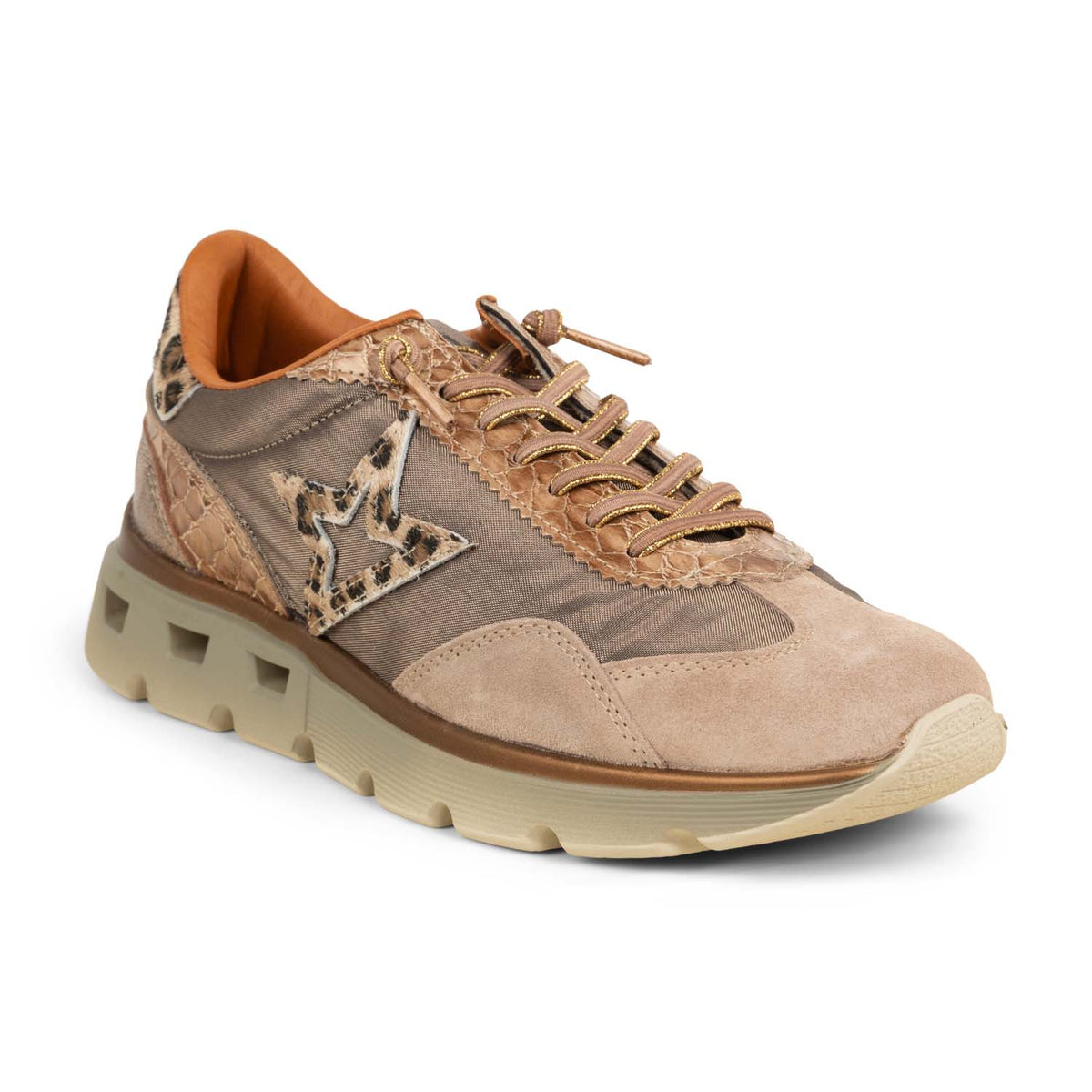 Baskets Femme CETTI CELI C1259SRAXL Marron