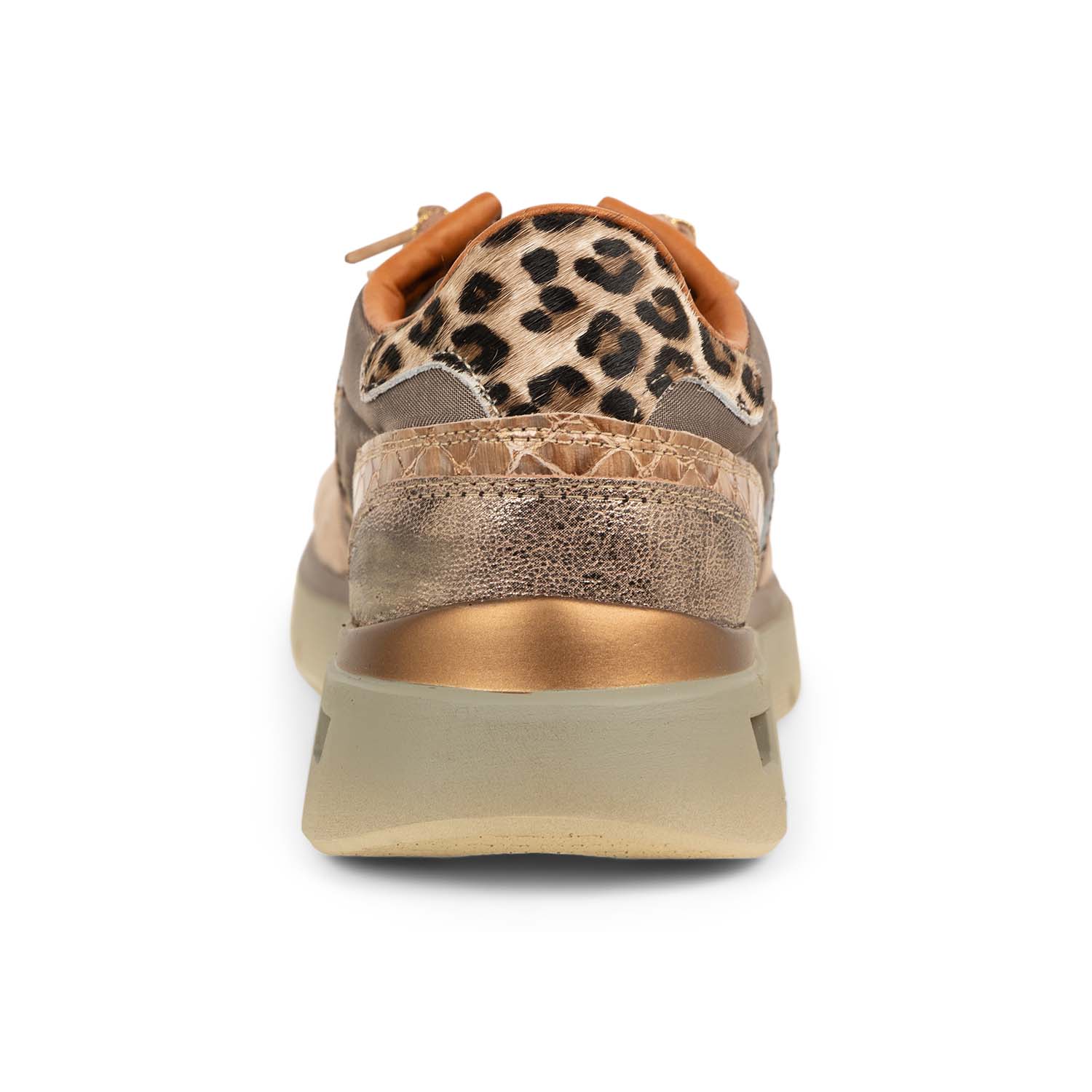 Baskets Femme CETTI CELI C1259SRAXL Marron