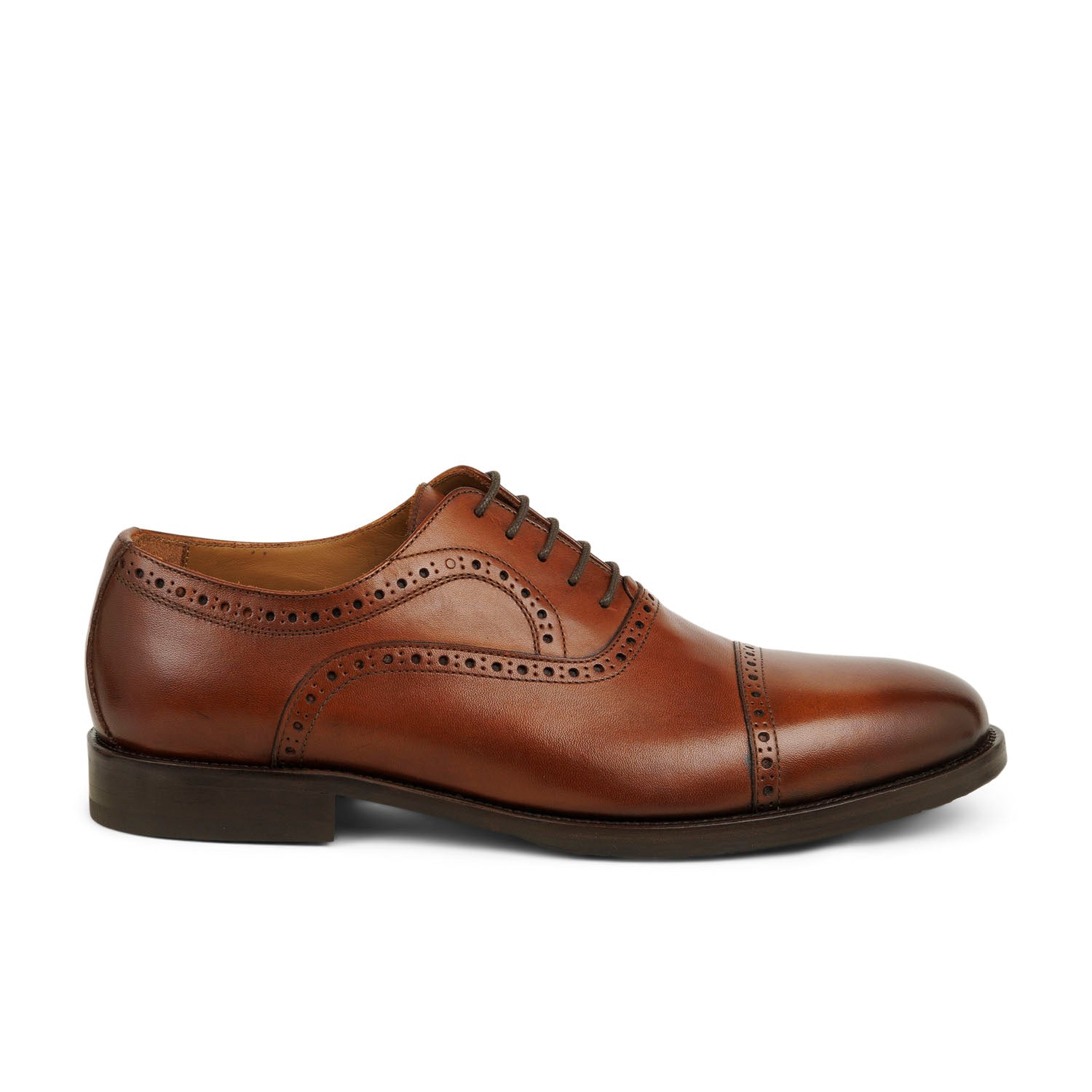 Derbies et Richelieus Homme LENDINI LENOE Marron