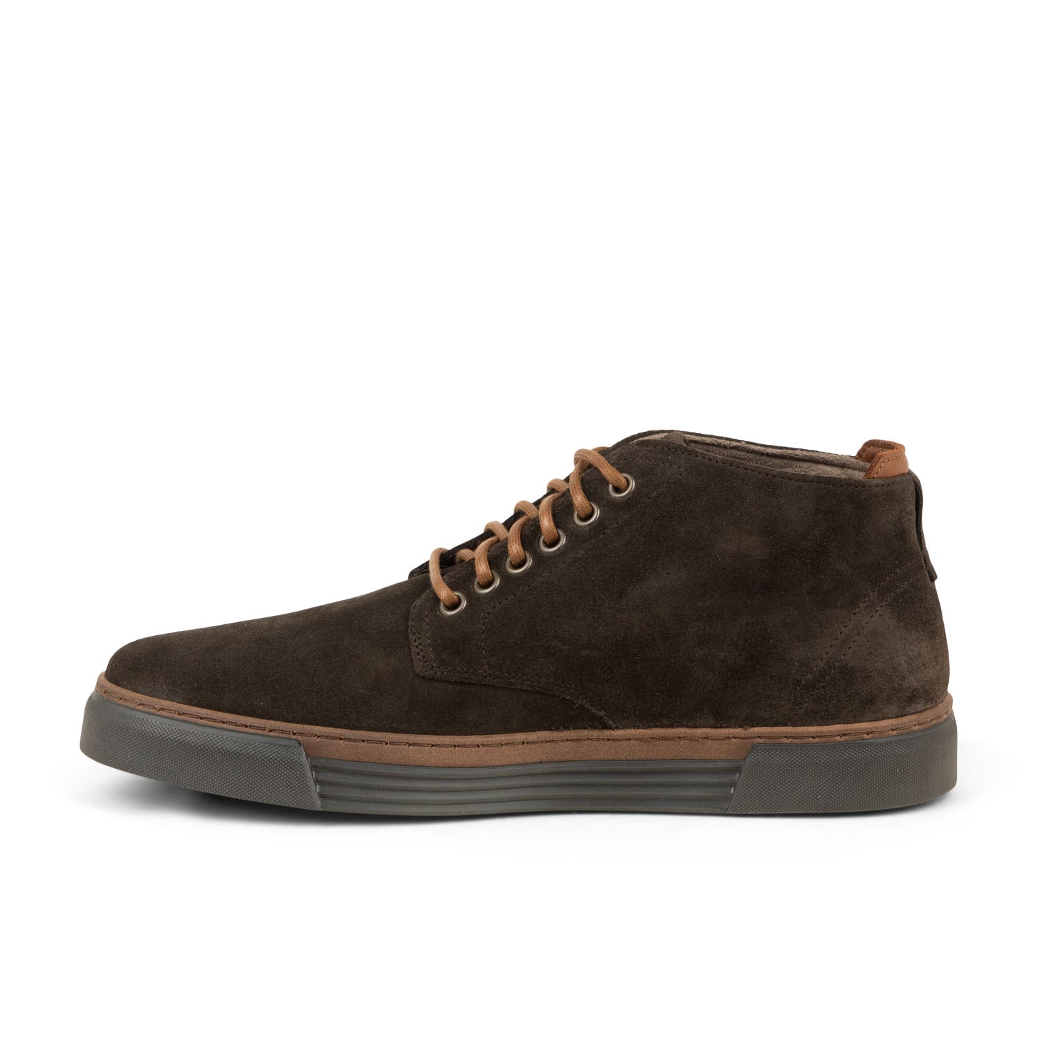 Boots et bottines Homme PIUS GABOR PIUGILLE Marron