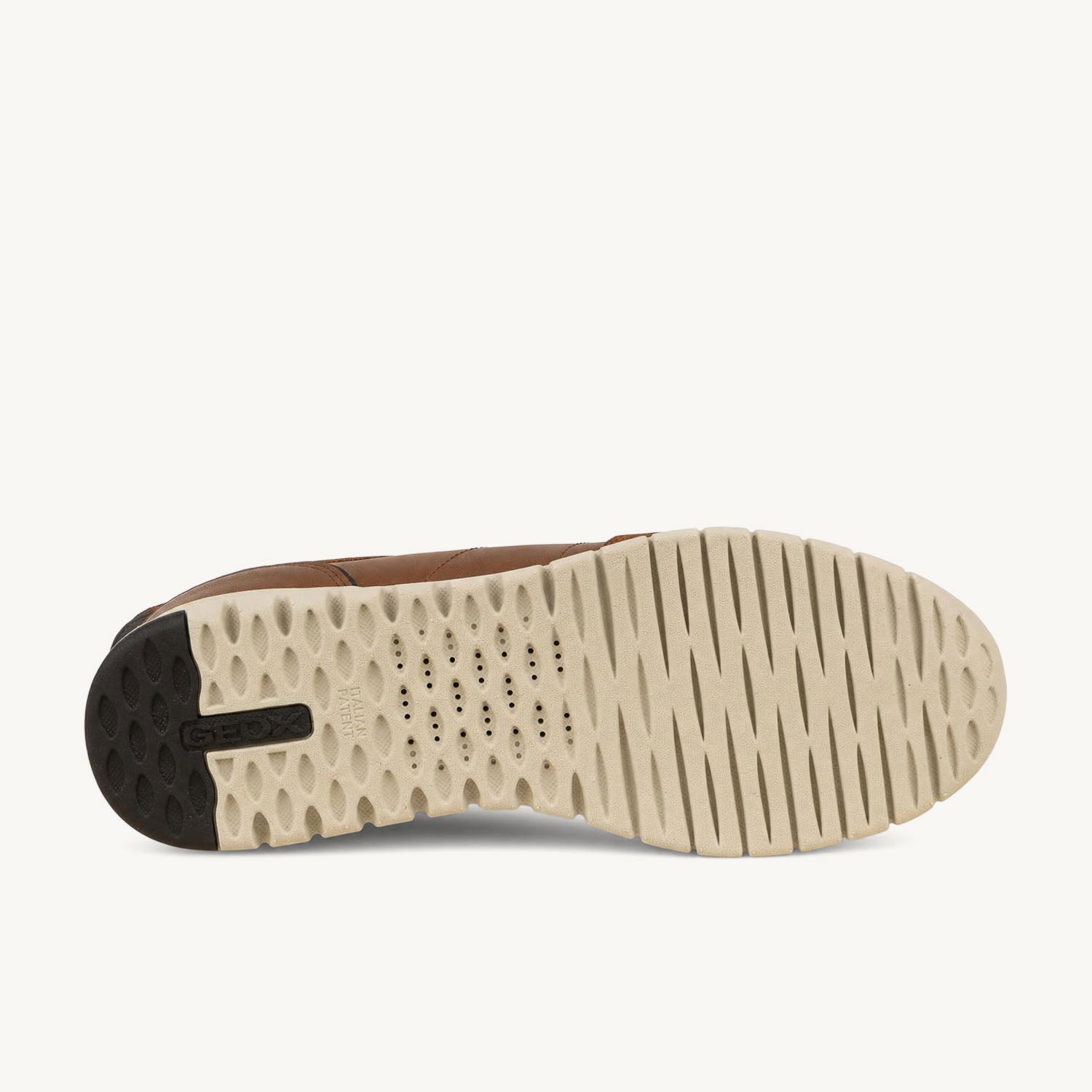 Baskets Homme GEOX FLEX TRIDE 0 PLUS Marron