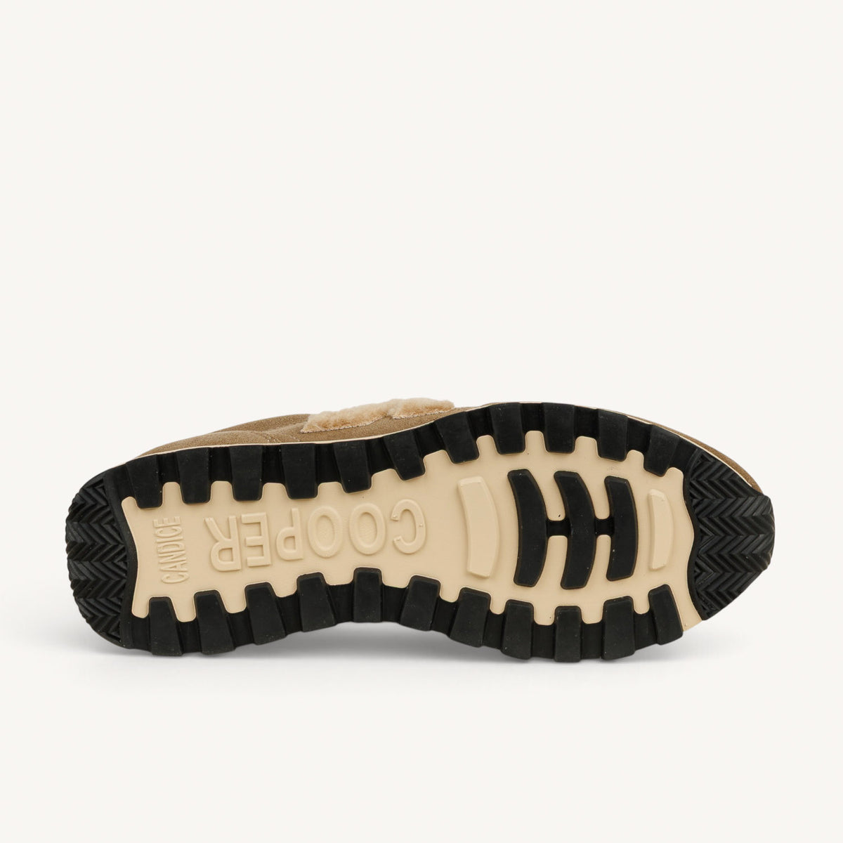 Baskets Femme CANDICE COOPER PLUME 5 FUR Kaki