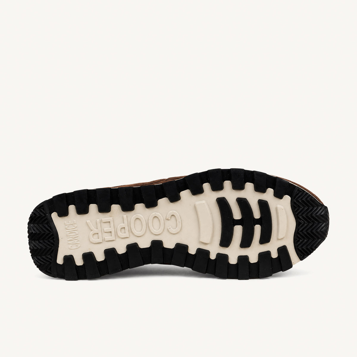 Baskets Femme CANDICE COOPER PLUME 5 Marron
