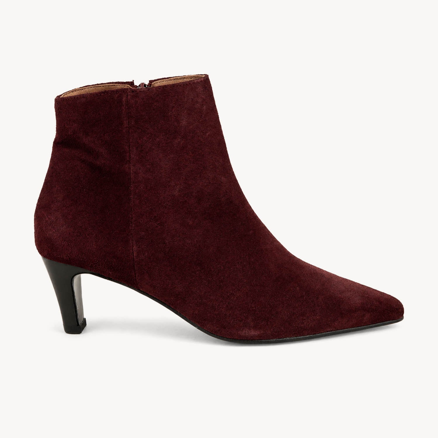 Boots et bottines Femme ENZO VERSINI GILDA Bordeaux