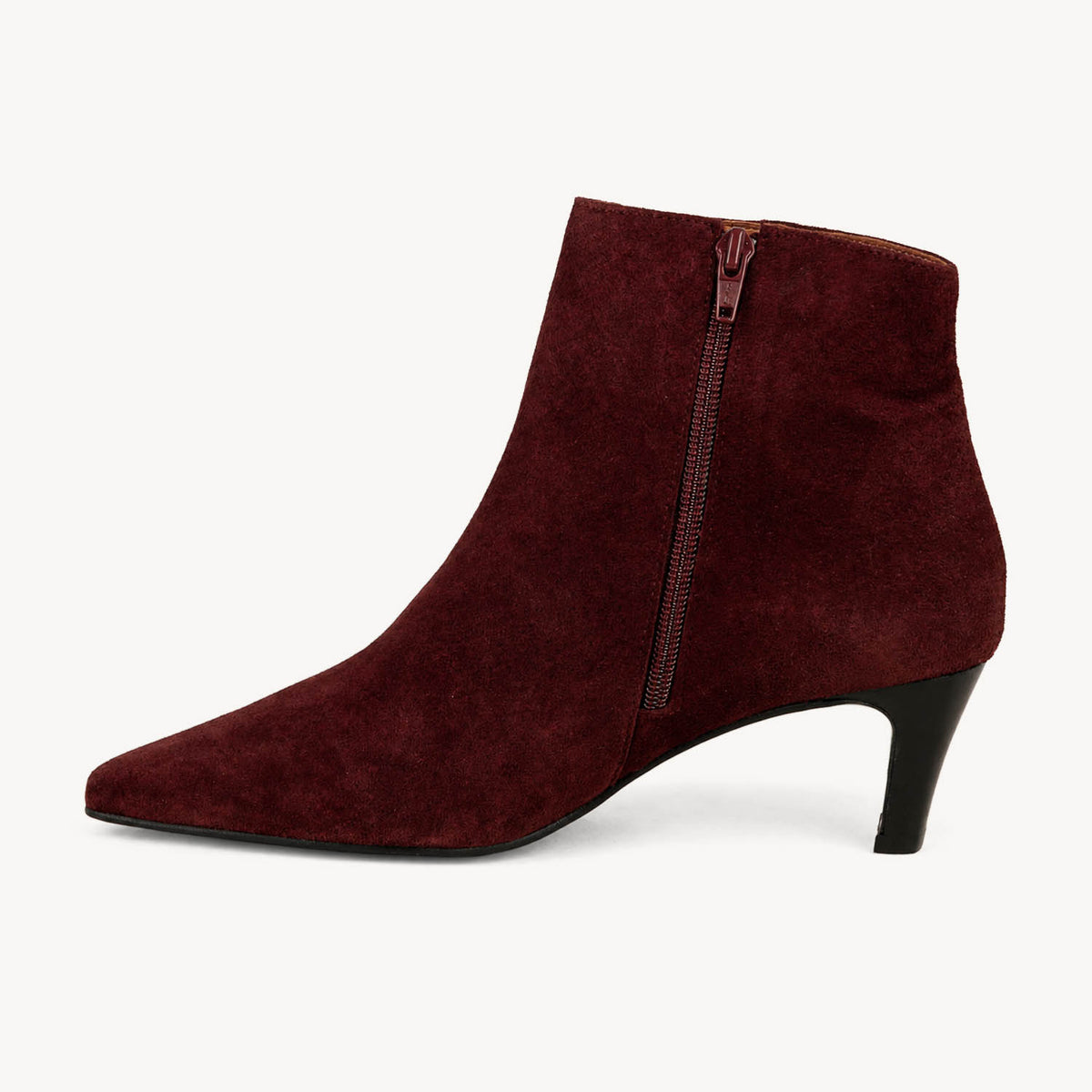 Boots et bottines Femme ENZO VERSINI GILDA Bordeaux