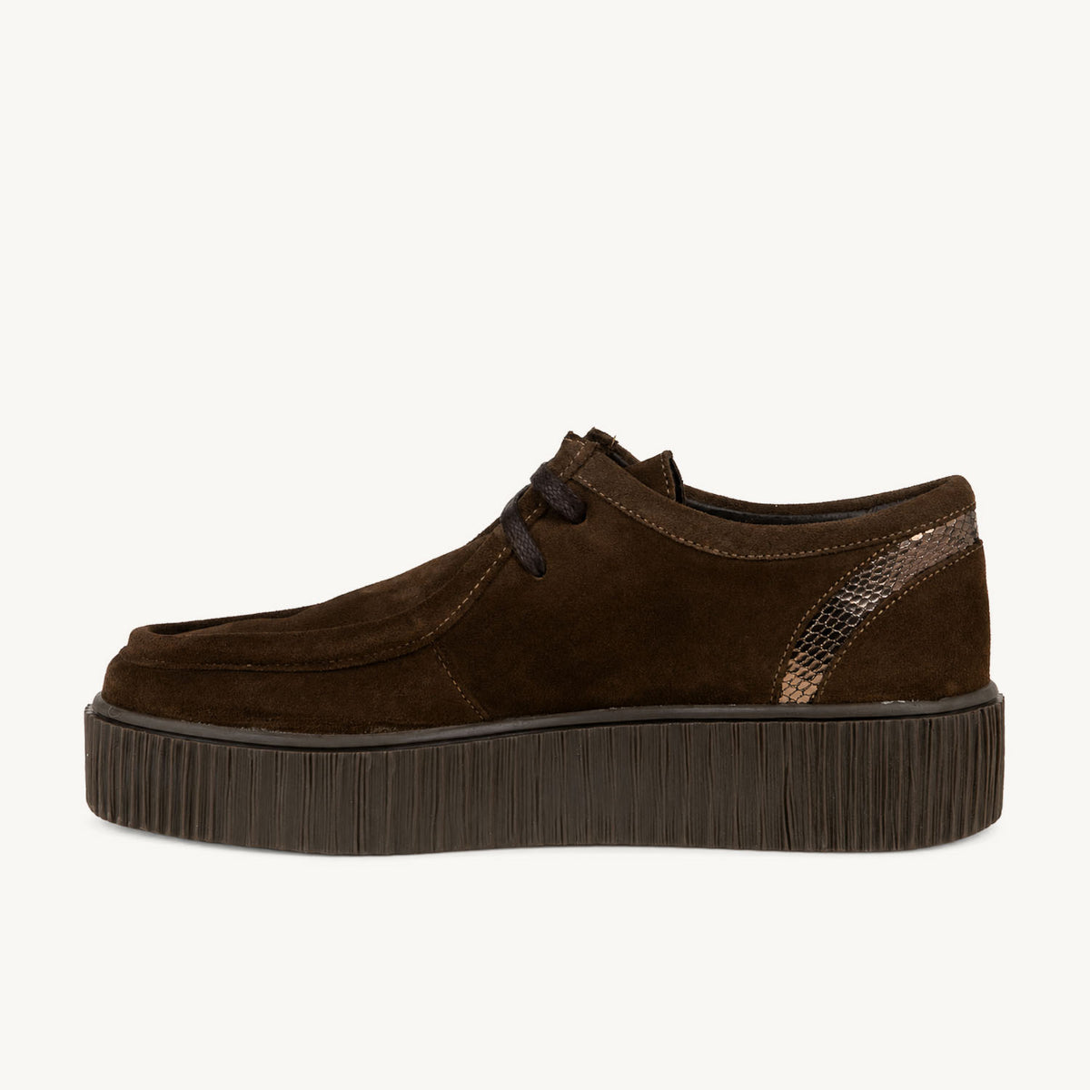 Derbies Femme ENZO VERSINI WEBAI Marron