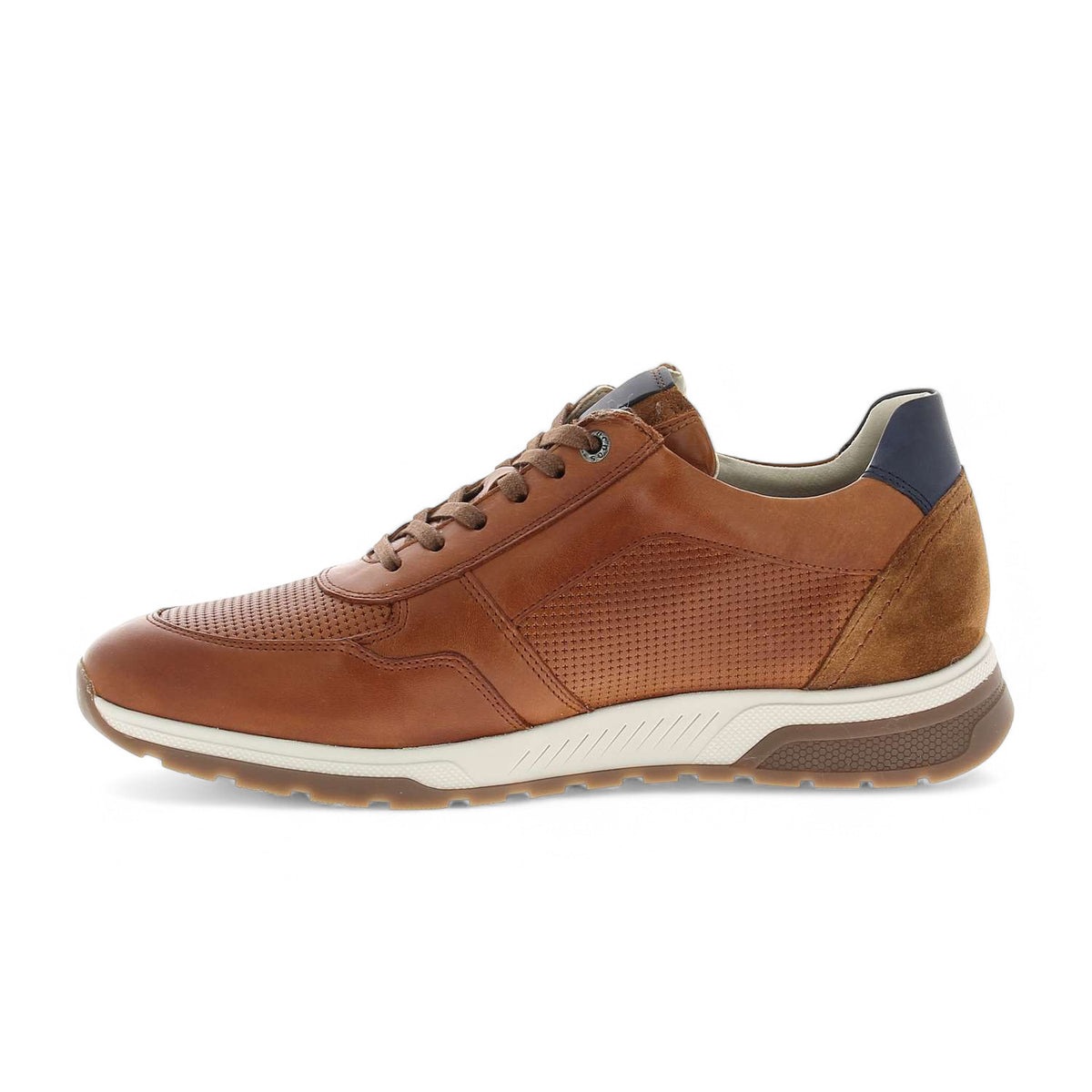 Baskets Homme FLUCHOS FLULUI Marron