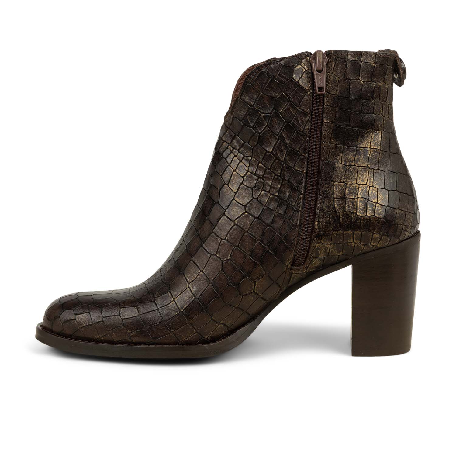 Boots et bottines Femme ENZO VERSINI MARION Marron