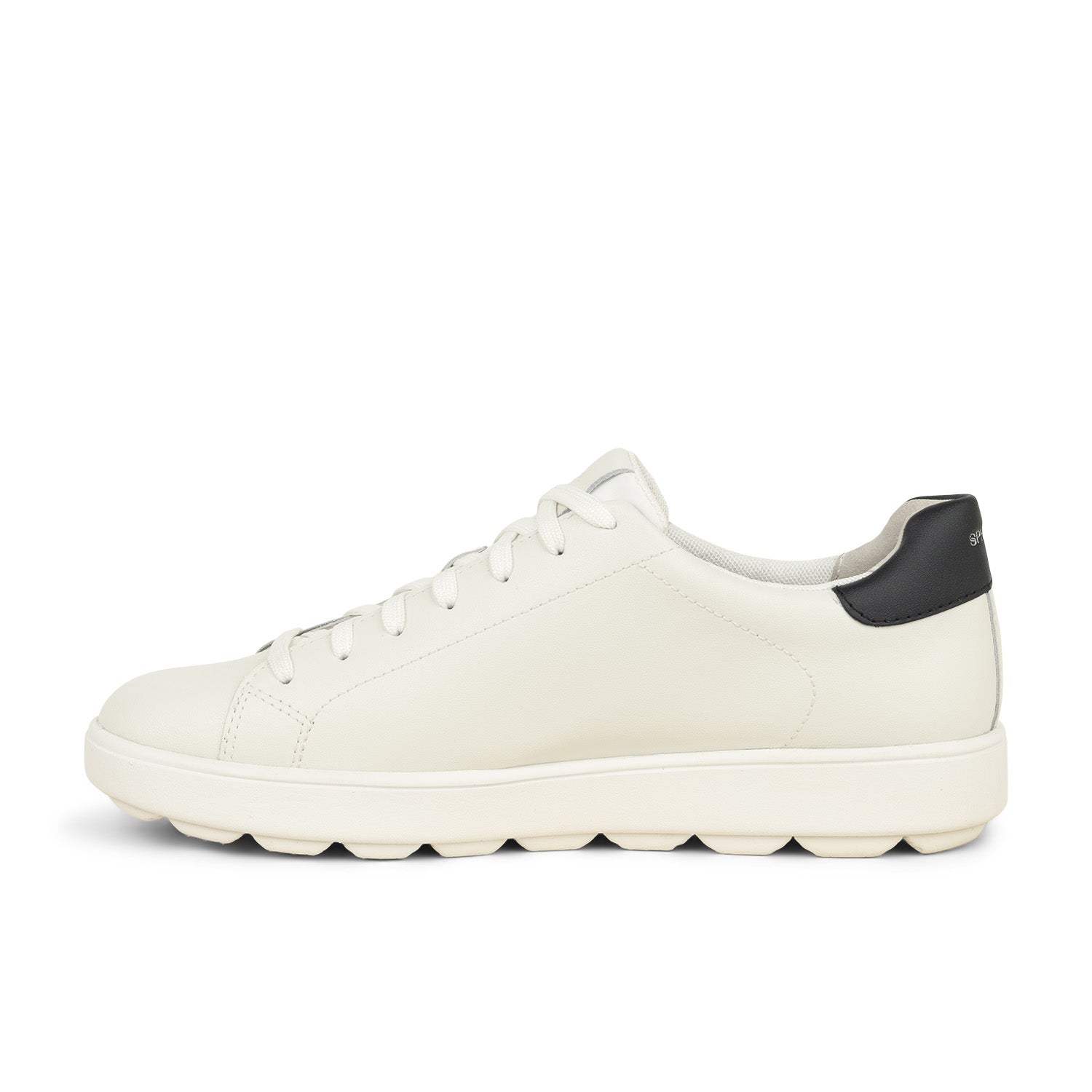 Baskets Homme GEOX SPHERICA ECUB Blanc