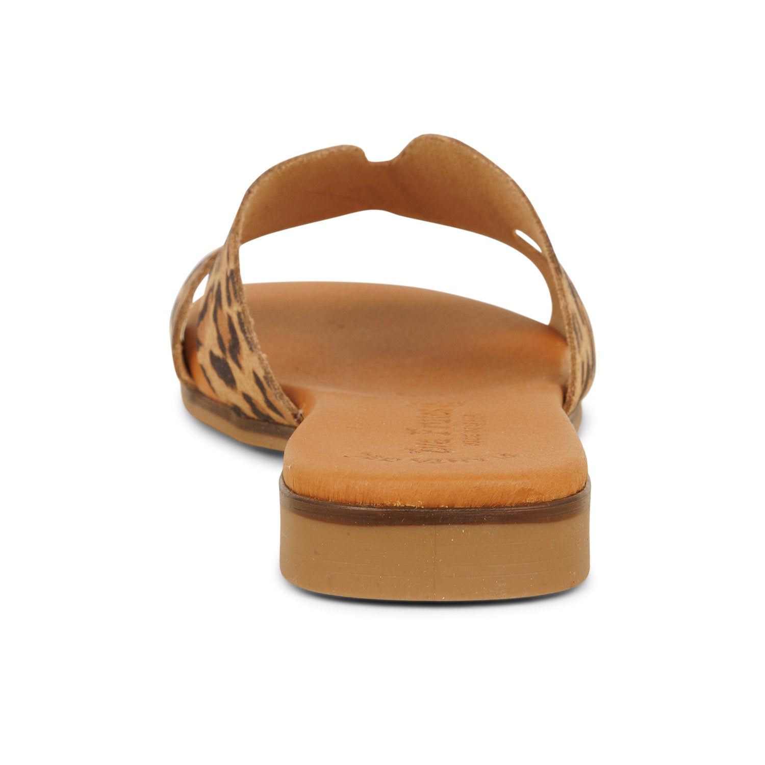 Mules Femme EVA FRUTOS EVEO Marron