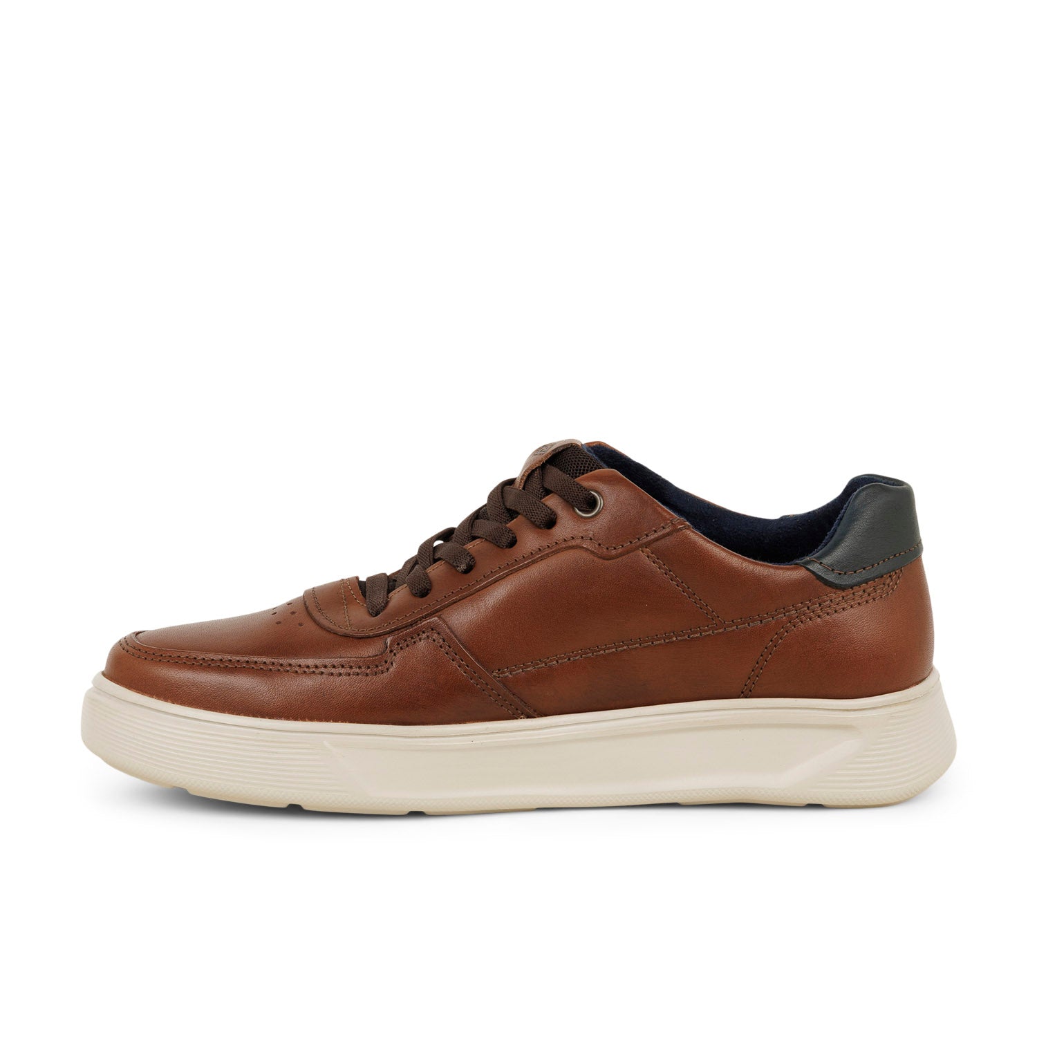 Baskets Homme PEGADA PEGABY Marron