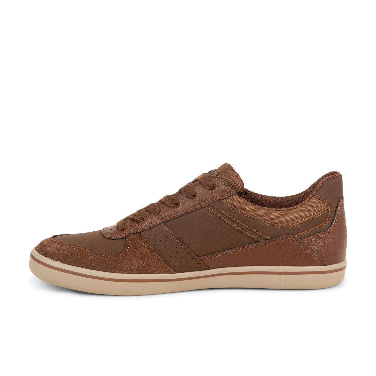 Baskets Homme GEOX U ELVER Marron