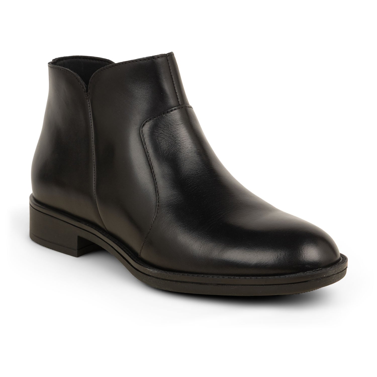 Boots et bottines Femme GEOX D JAYLON Noir