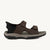 Sandales Homme SKECHERS TRESMEN REECE Marron
