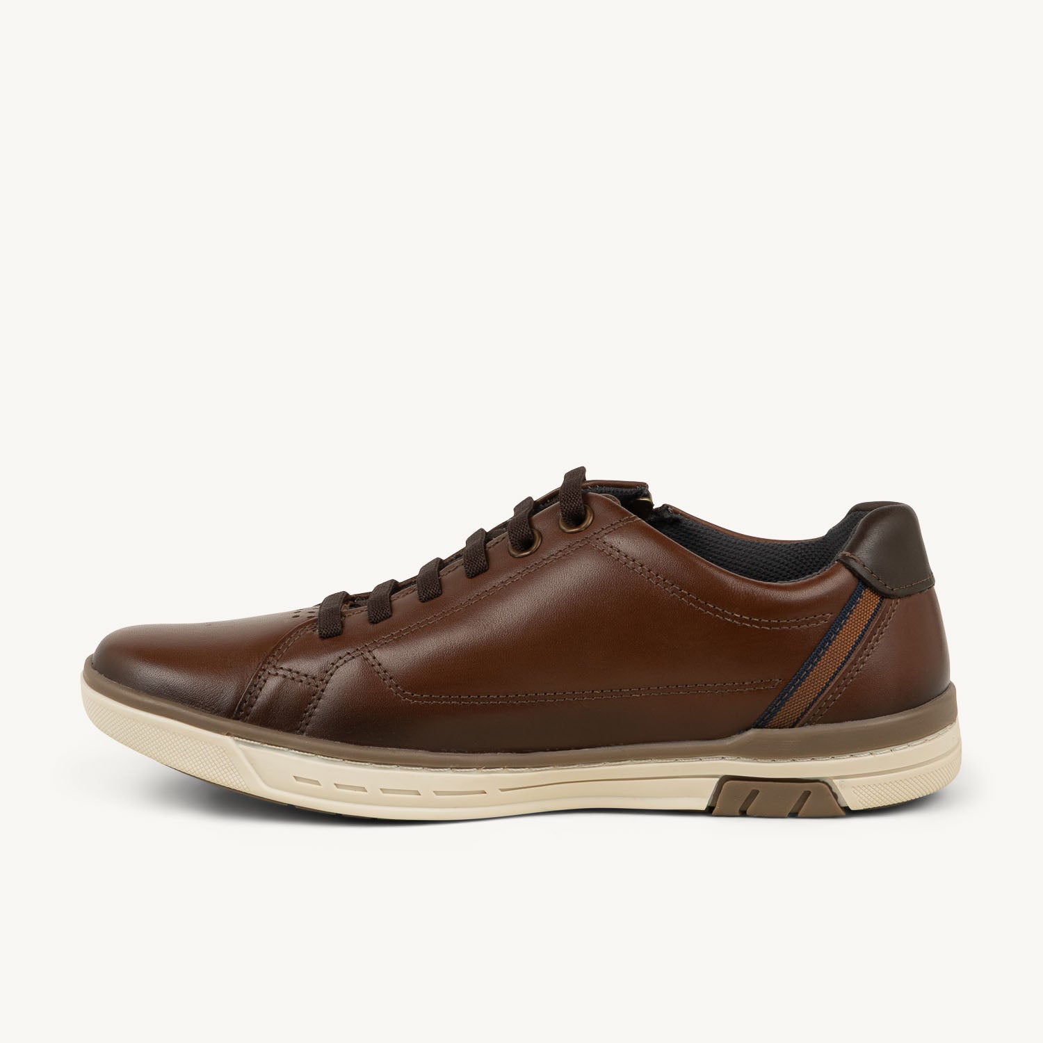 Baskets Homme PEGADA PEGGO Marron