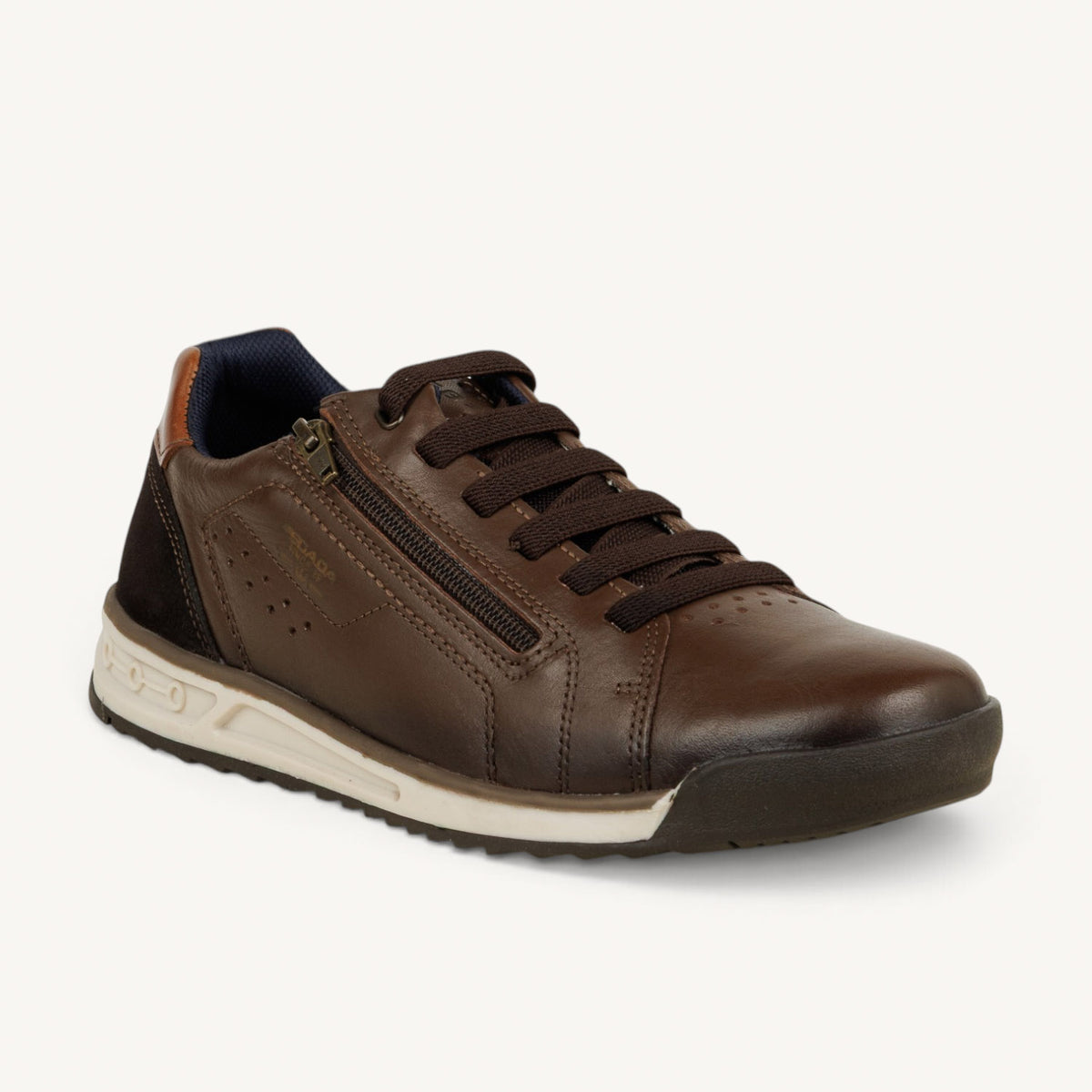 Baskets Homme PEGADA PEGAH Marron