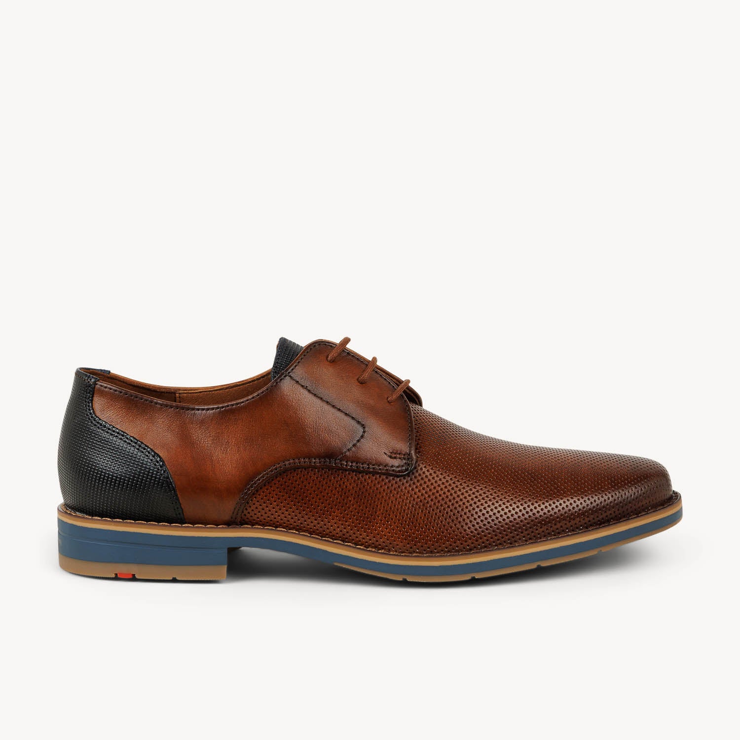 Derbies et Richelieus Homme LLOYD 16017 - DRIFT 110 Marron