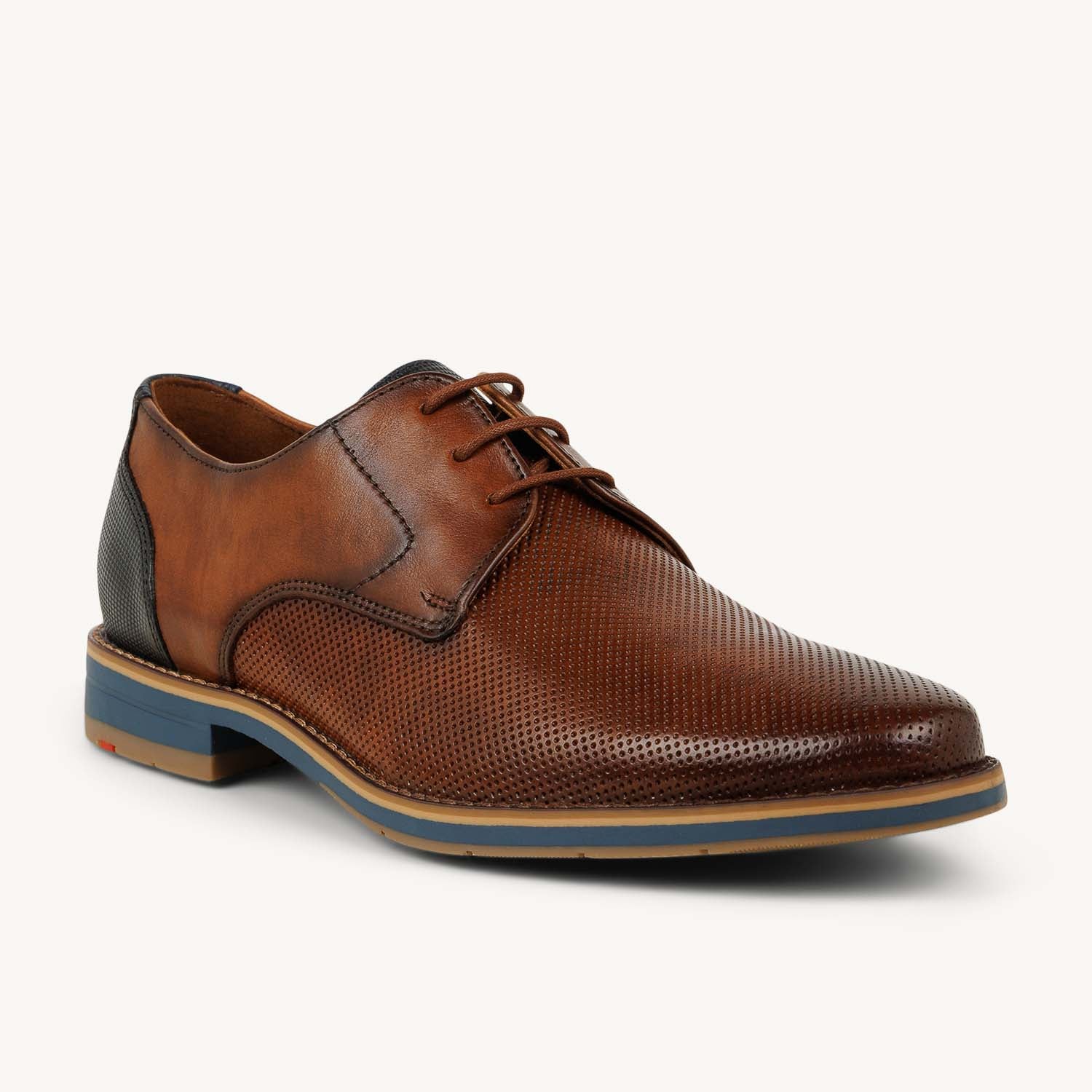 Derbies et Richelieus Homme LLOYD 16017 - DRIFT 110 Marron