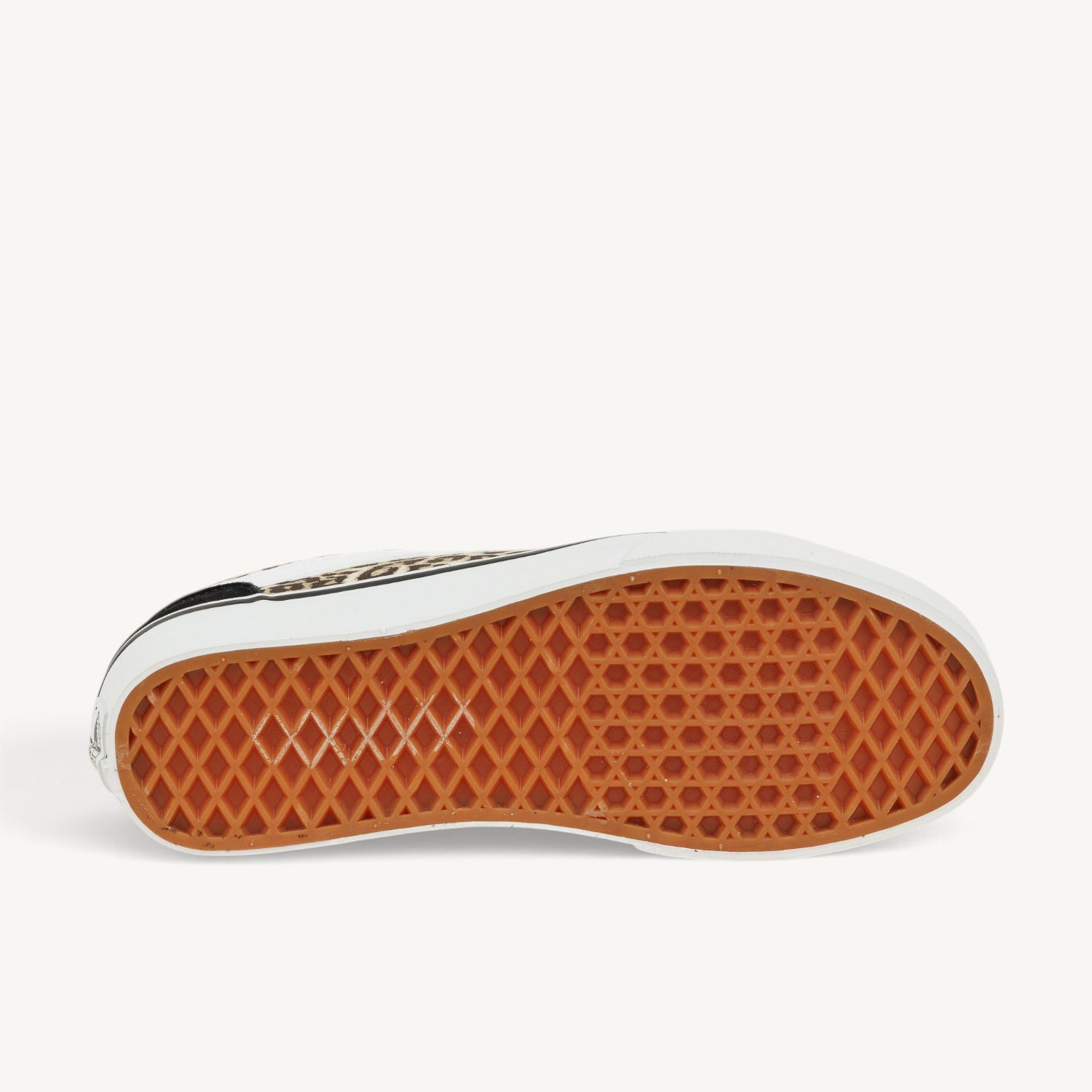 Sneakers Femme VANS VERO LS Noir