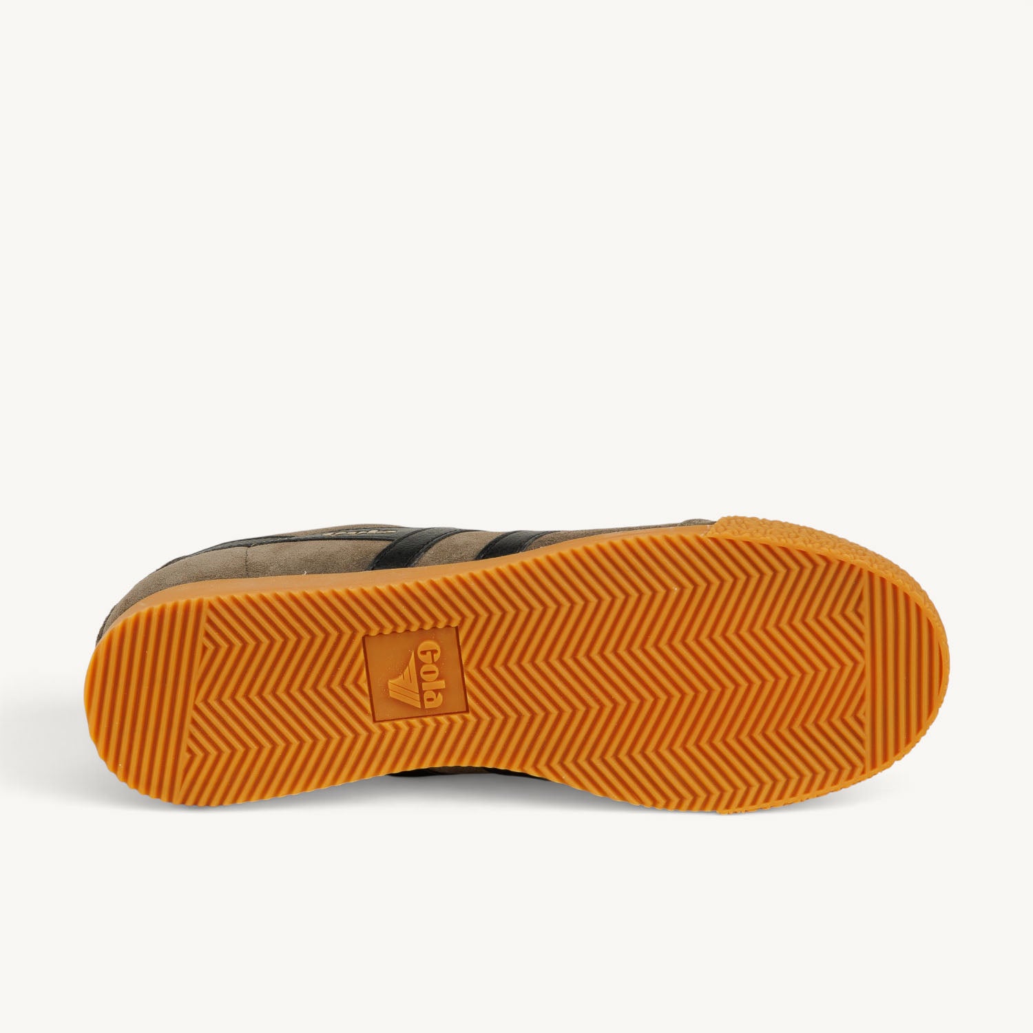 Sneakers Homme GOLA HARRIER Marron