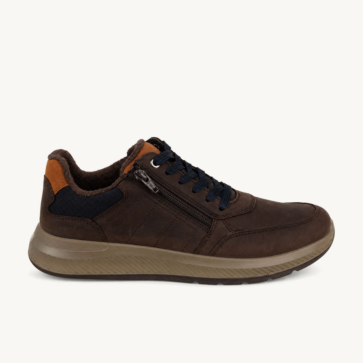 Baskets Homme ARA 11-21702 - ARANUT Marron