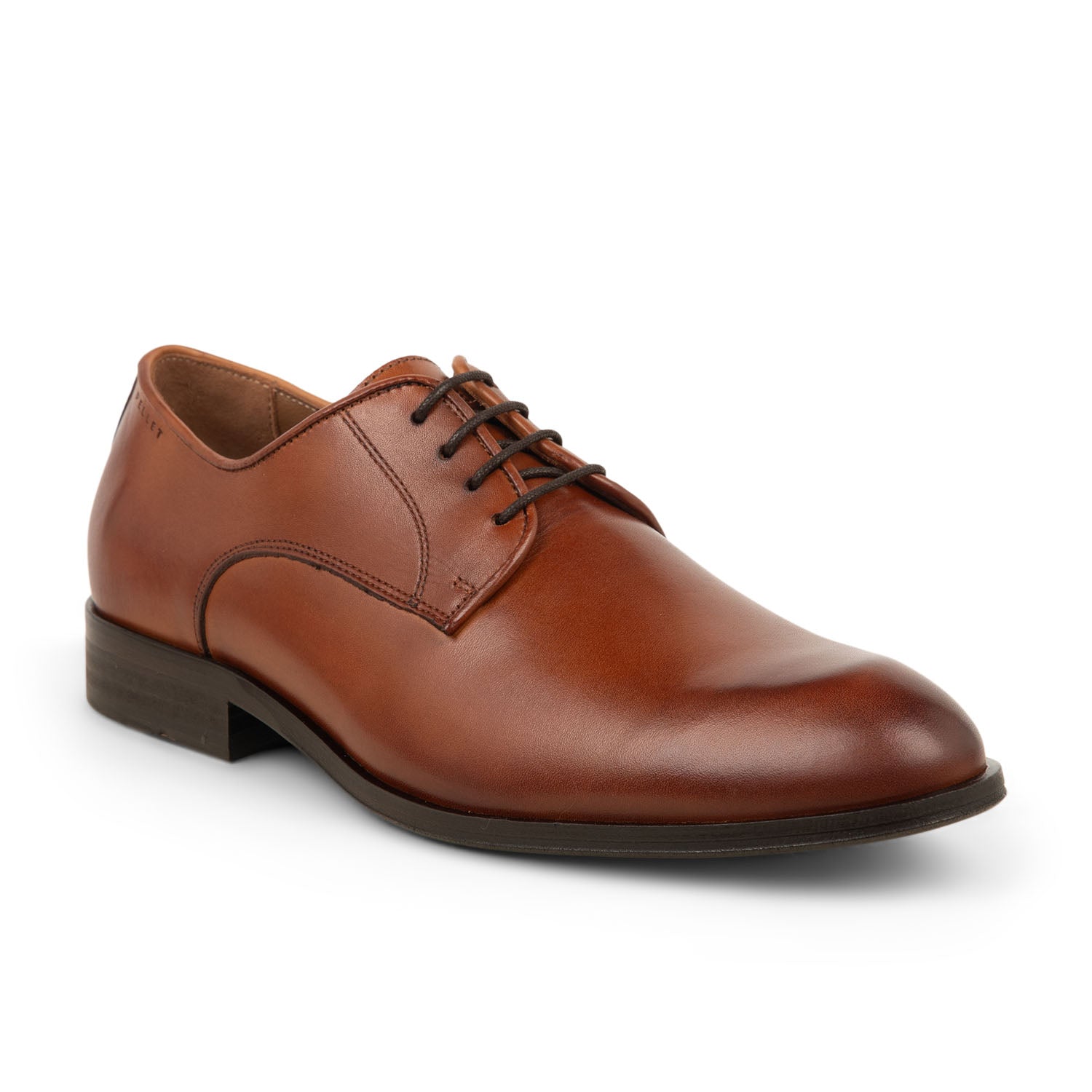Derbies et Richelieus Homme CHRISTIAN PELLET CHARLES Marron