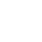 LENDINI