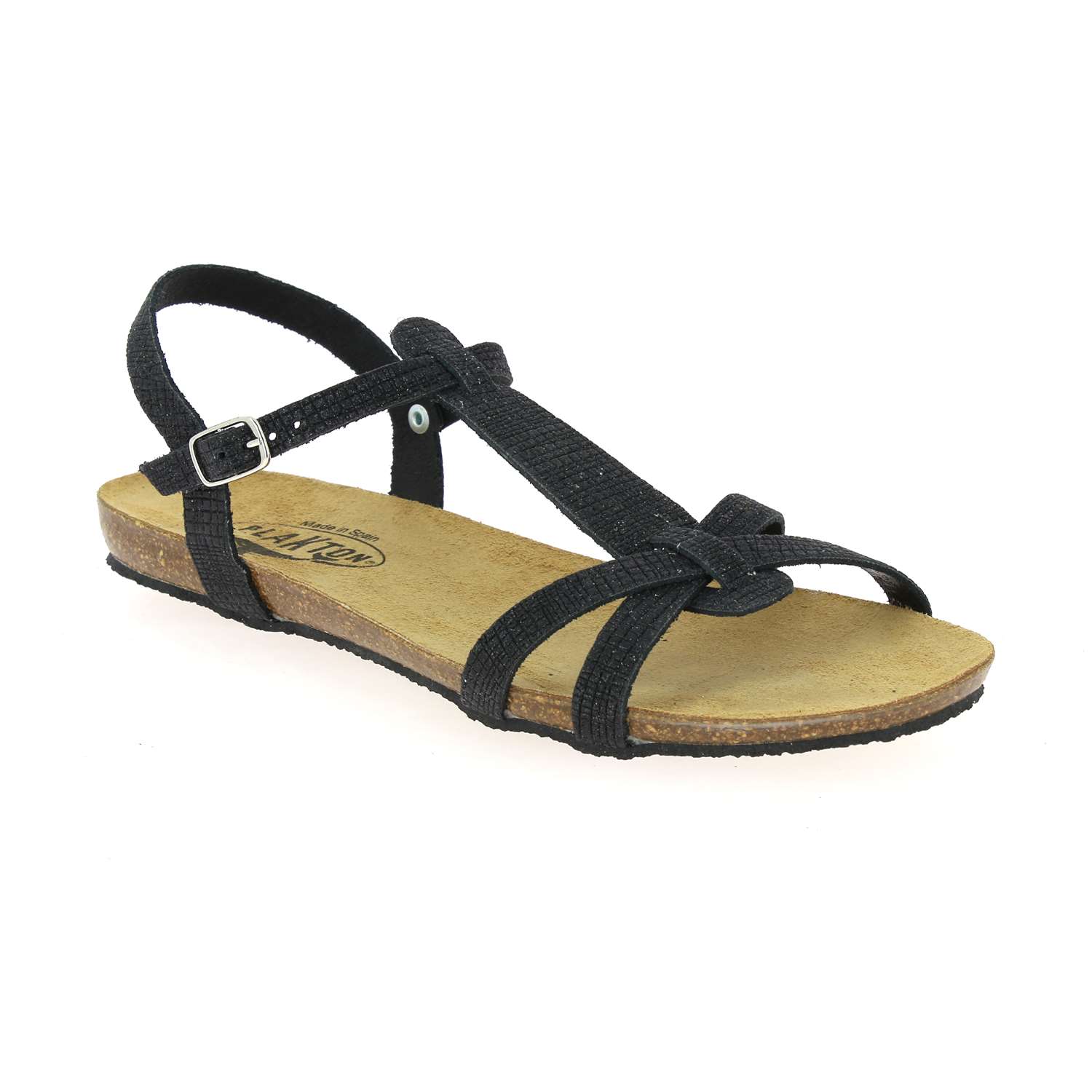 plakton camel