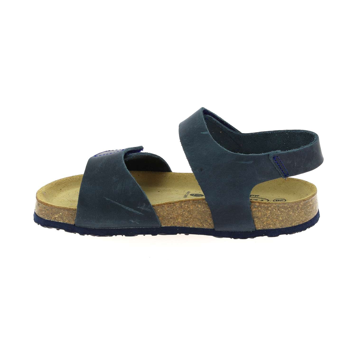 plakton bleu